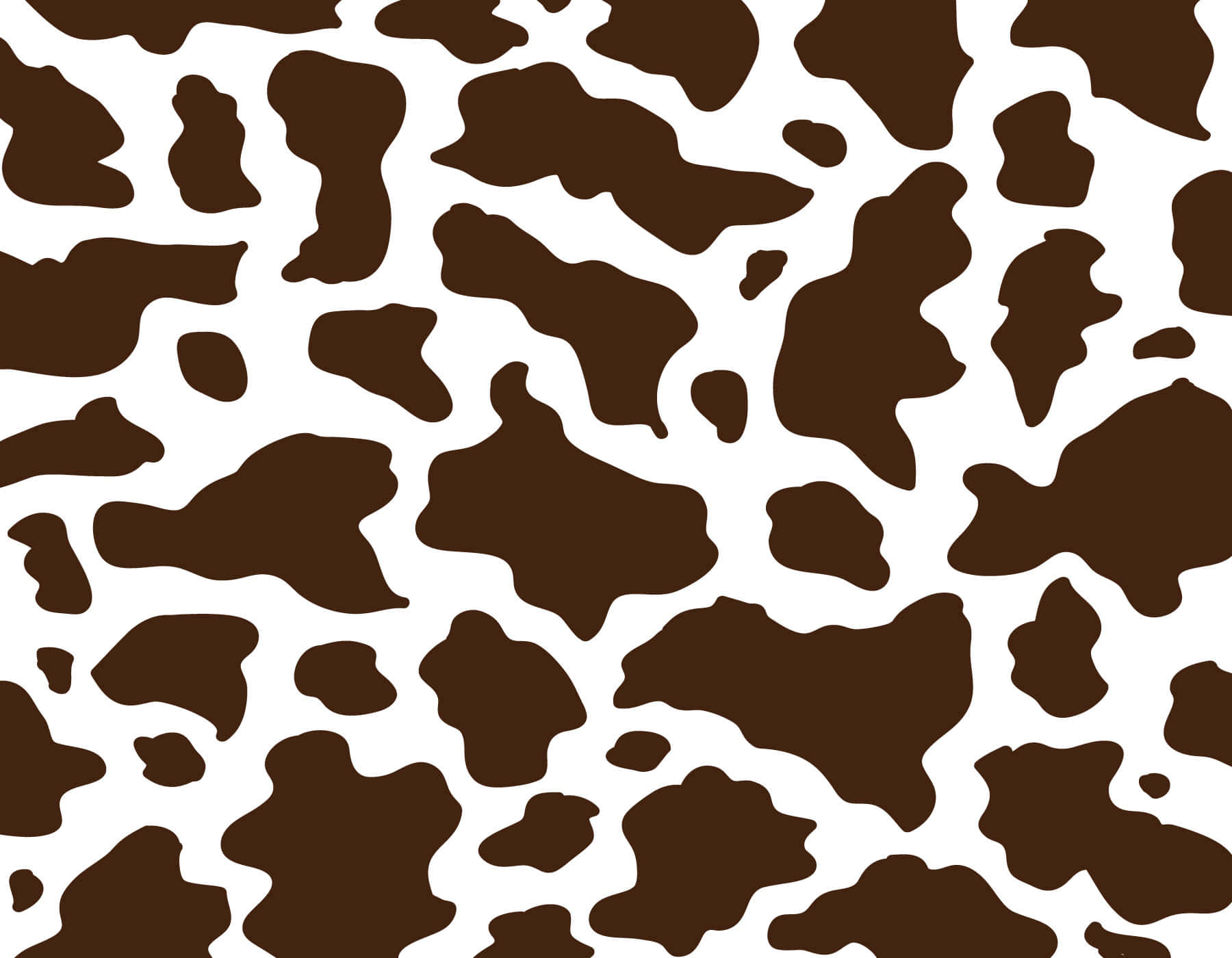 Brown Cow, meadow, crisp white background, HD Desktop Wallpaper