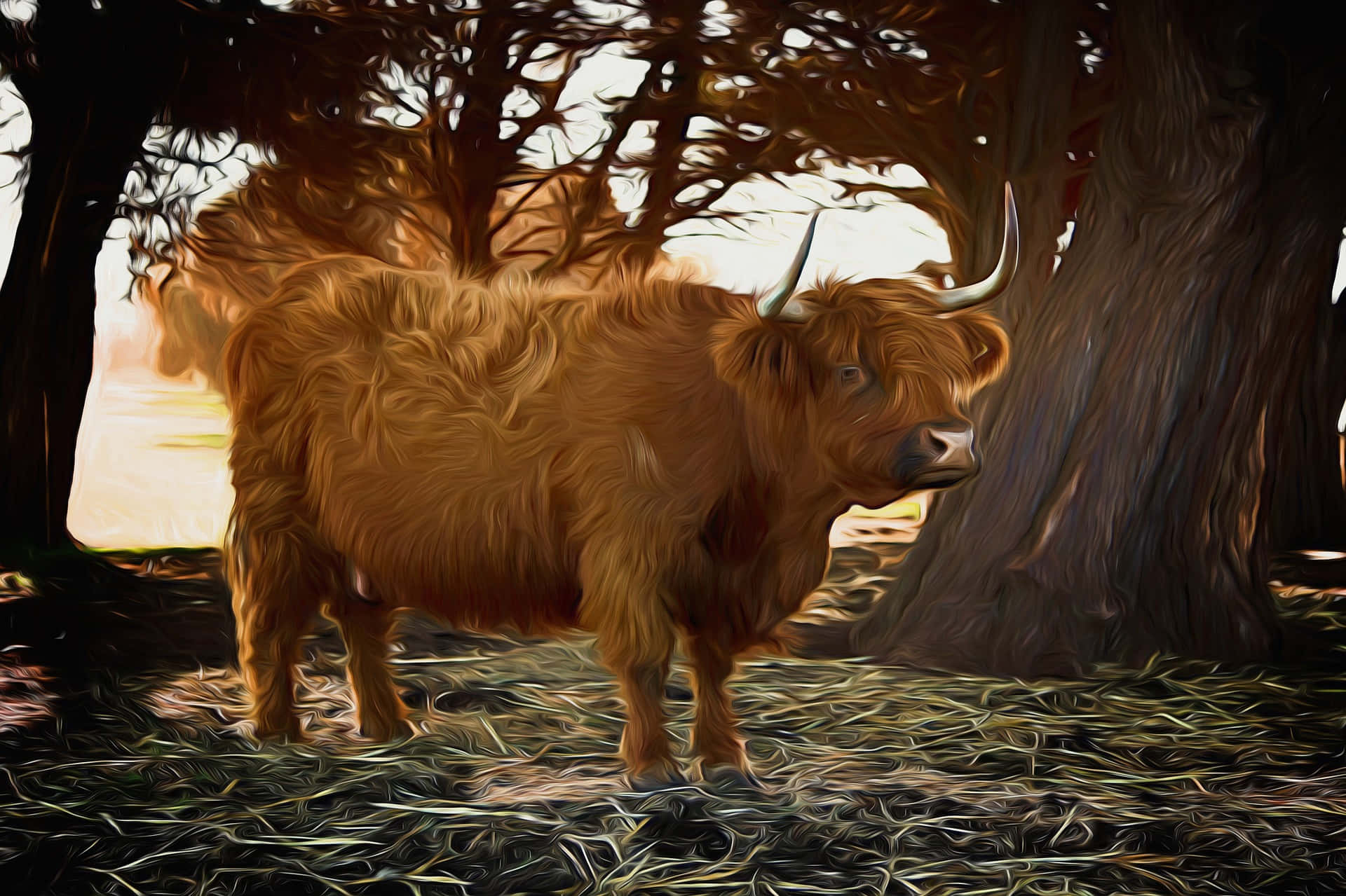 Brown Cow, Highland cow, shaggy brown fur, Full HD Desktop Wallpaper