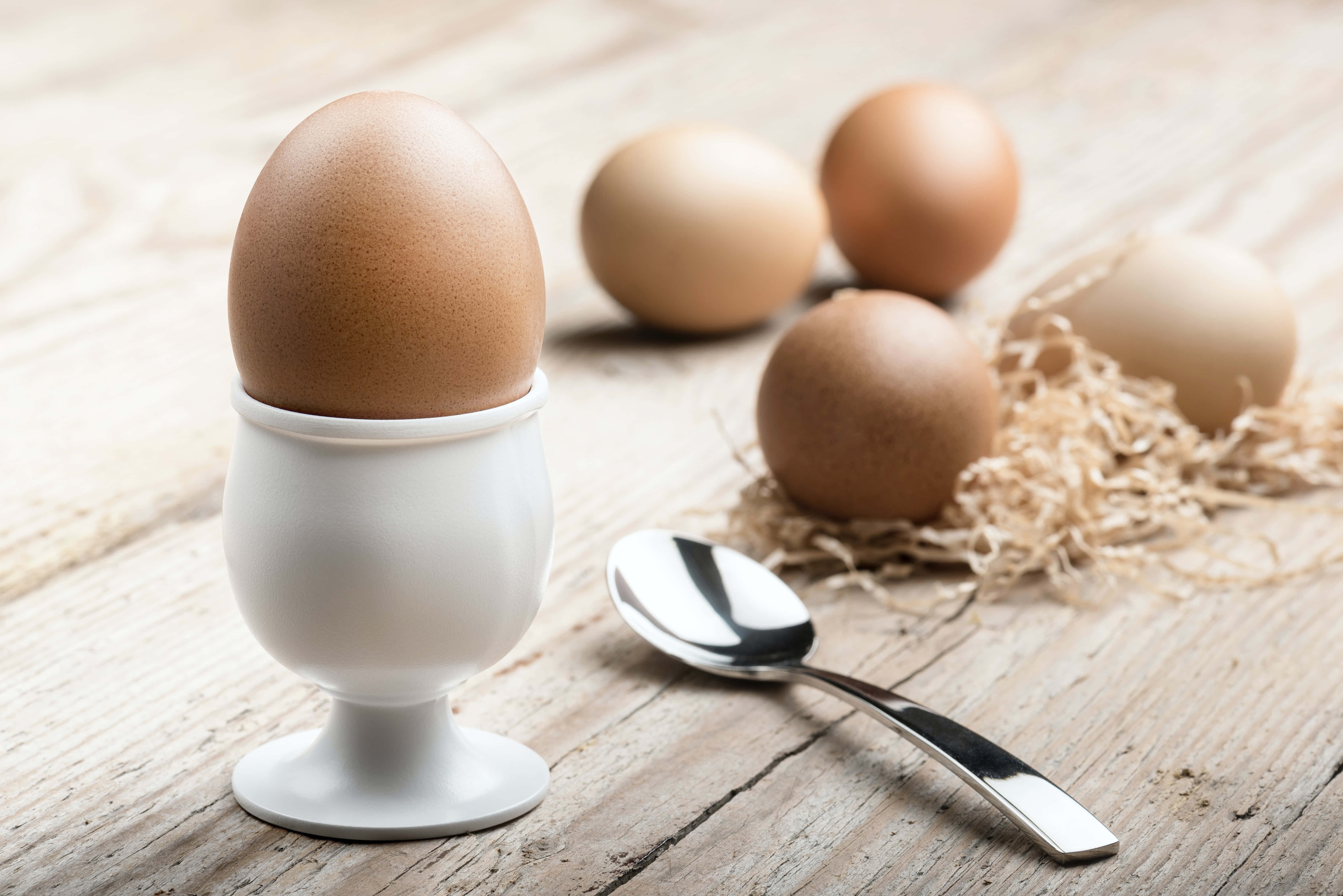 brown eggs, white ceramic egg cup, rustic wooden table, 5K Desktop Wallpaper