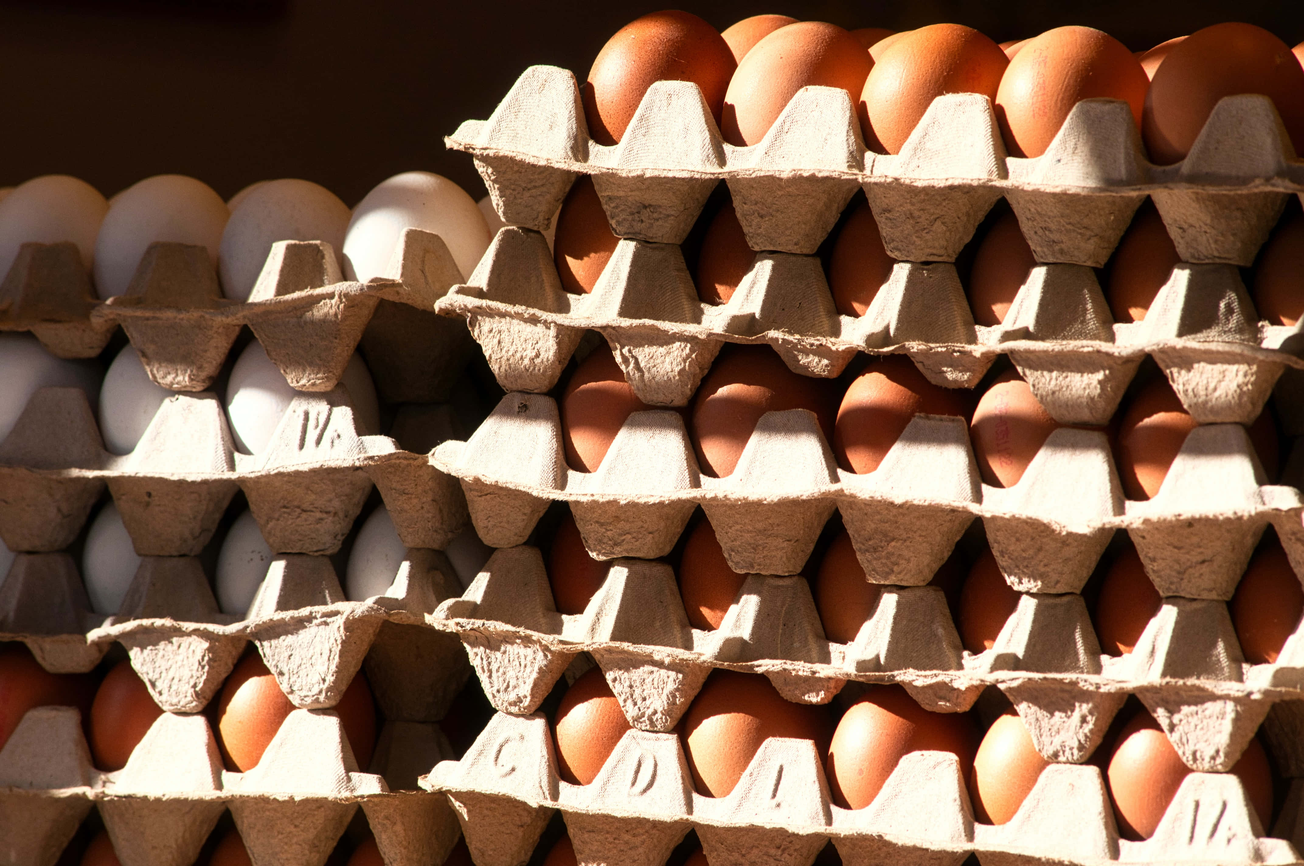 brown eggs, cardboard egg cartons, brown and white eggs, 4K Desktop Wallpaper