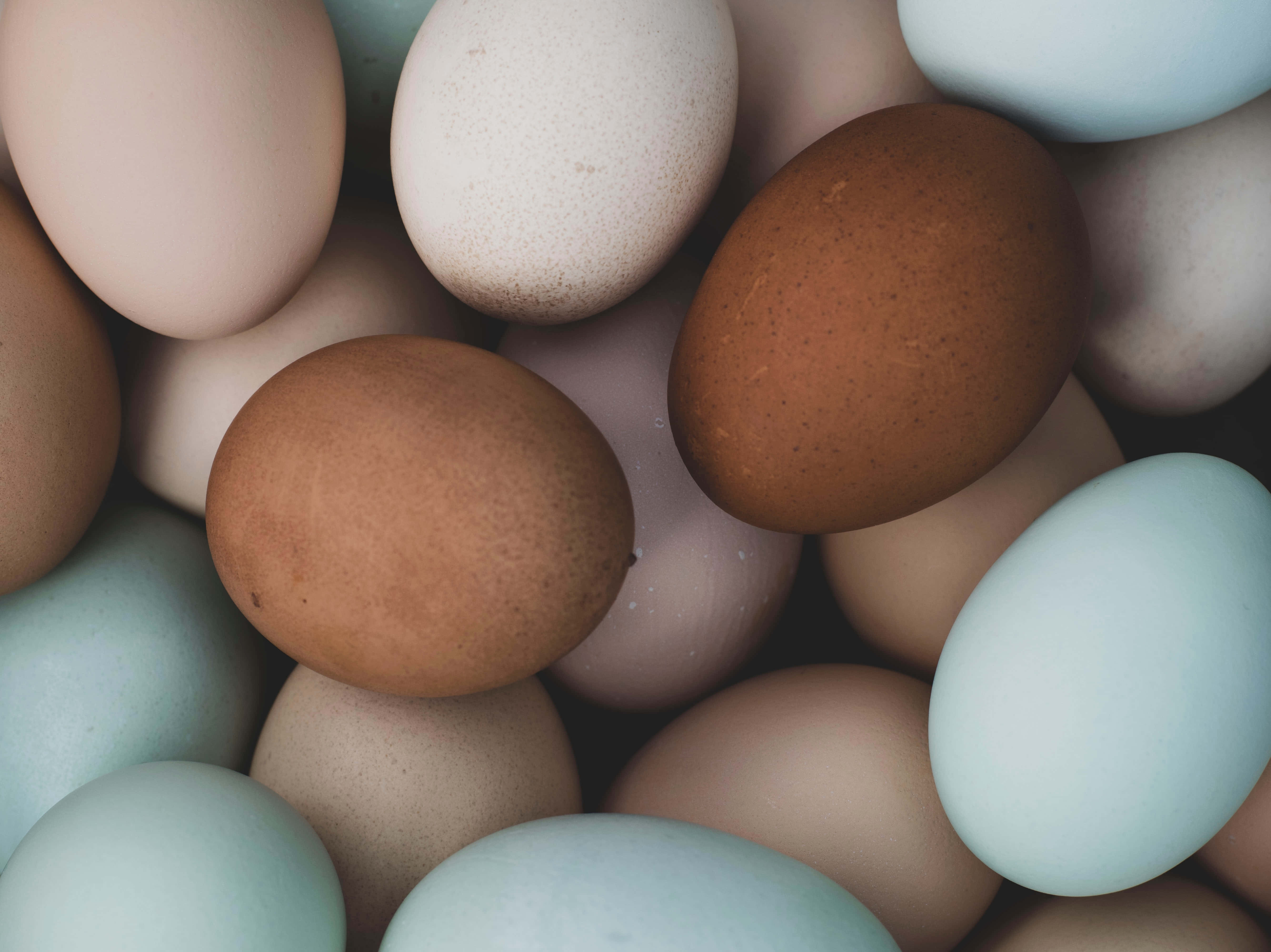 Brown Eggs, carton, fresh Brown Eggs, 5K Desktop Wallpaper
