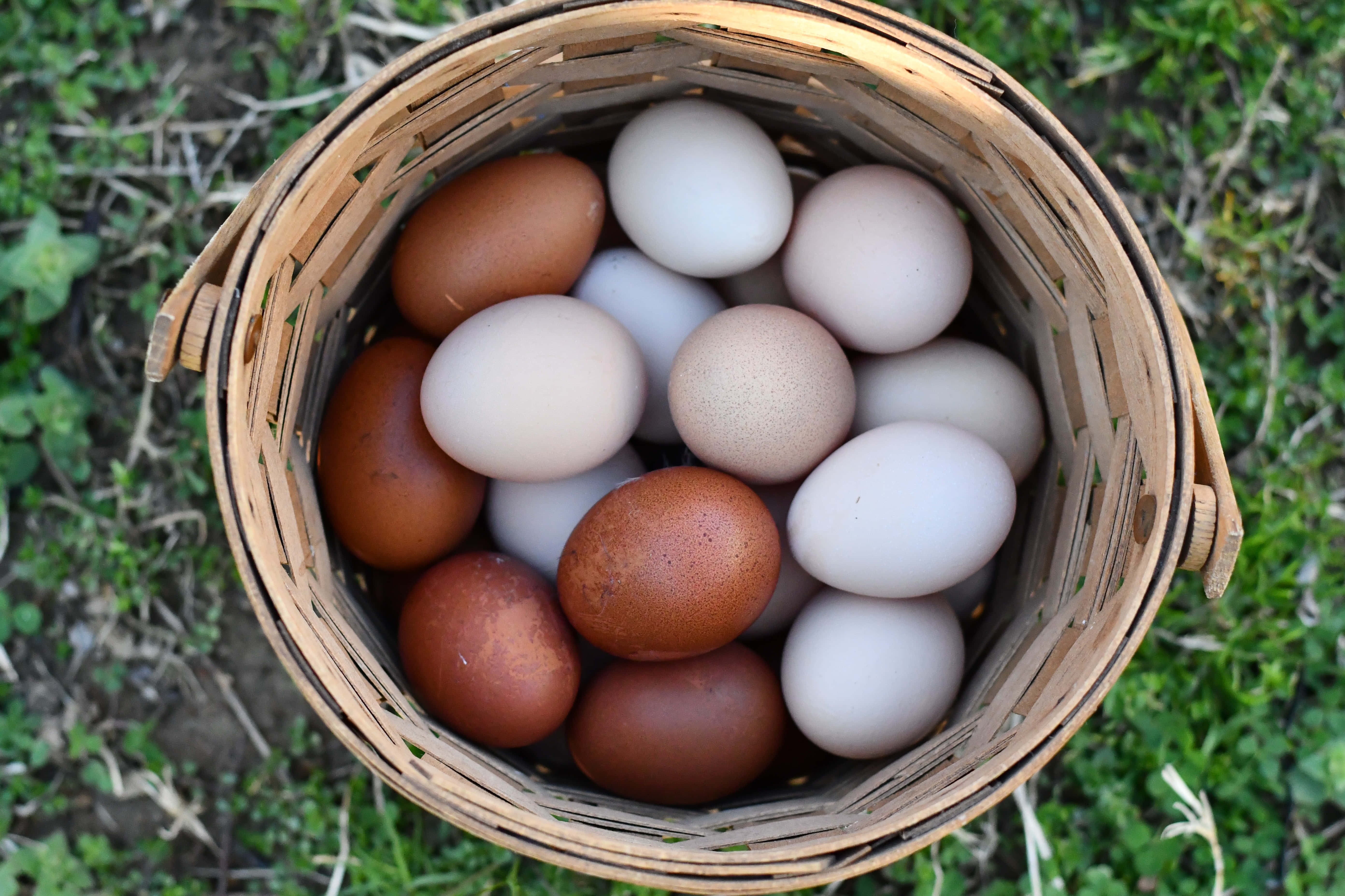 brown eggs, woven basket, rustic wooden surface, 5K Desktop Wallpaper
