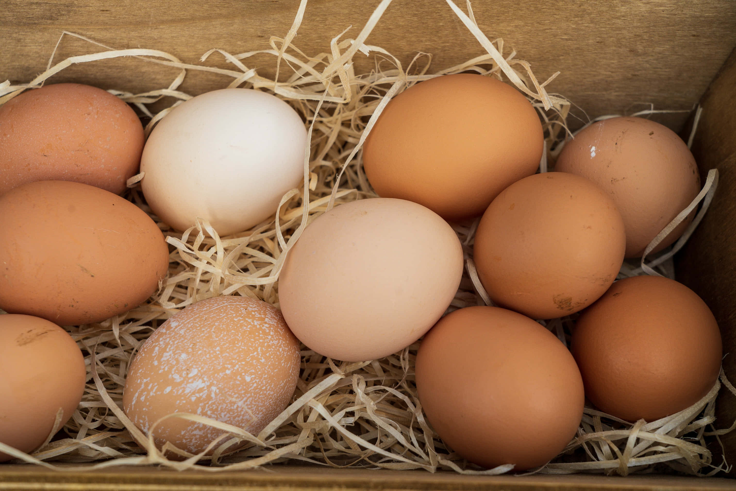 brown eggs, rustic wooden box, assorted brown and white eggs, 2K Desktop Wallpaper
