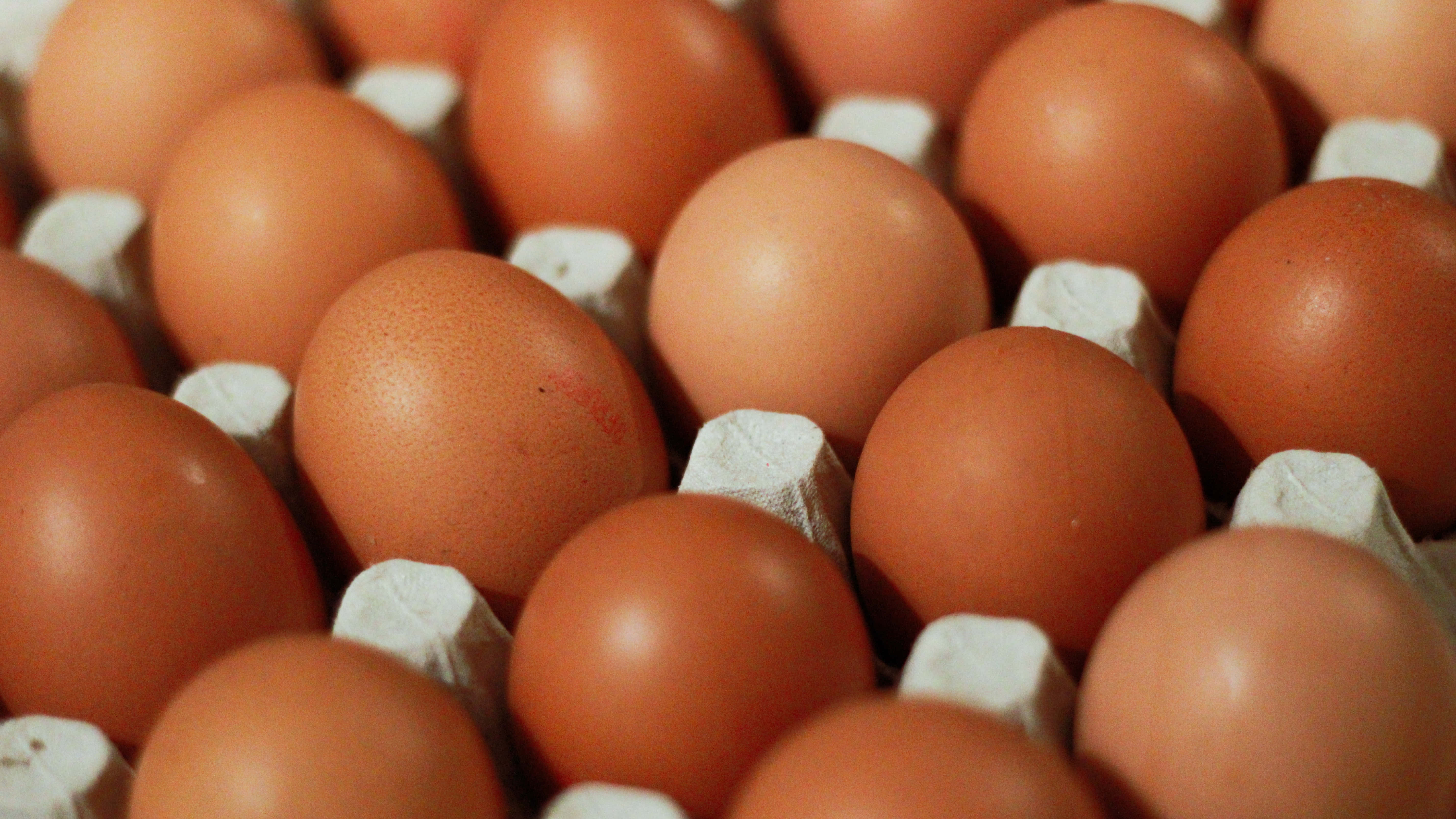 Brown Eggs, rustic wooden surface, white cardboard slots, 5K Desktop Wallpaper