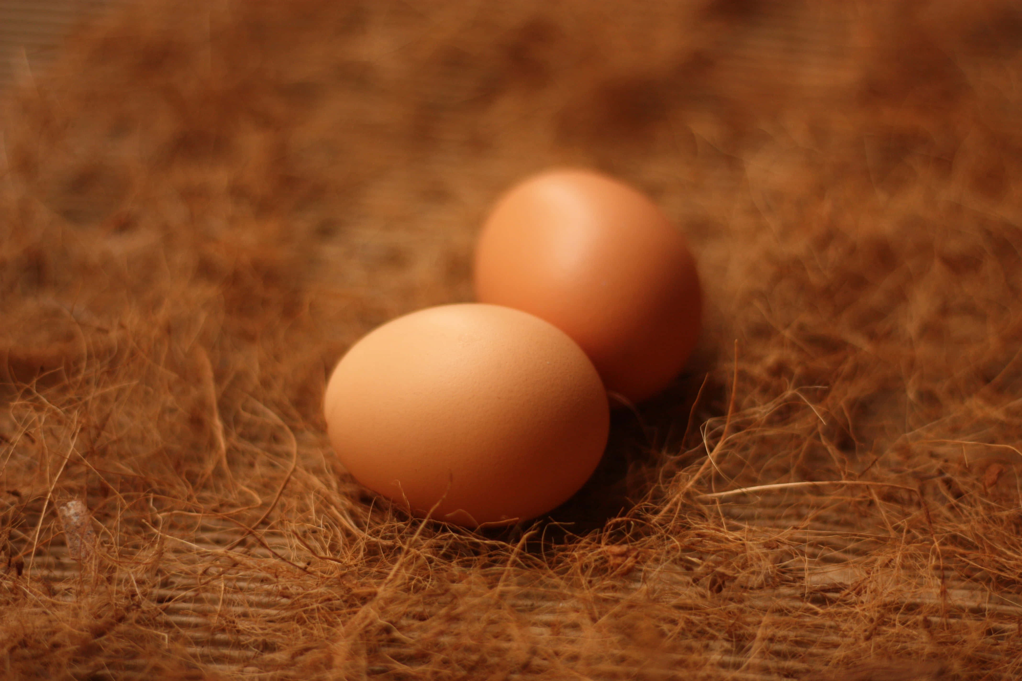 brown eggs, rustic setting, dry straw, 4K Desktop Wallpaper