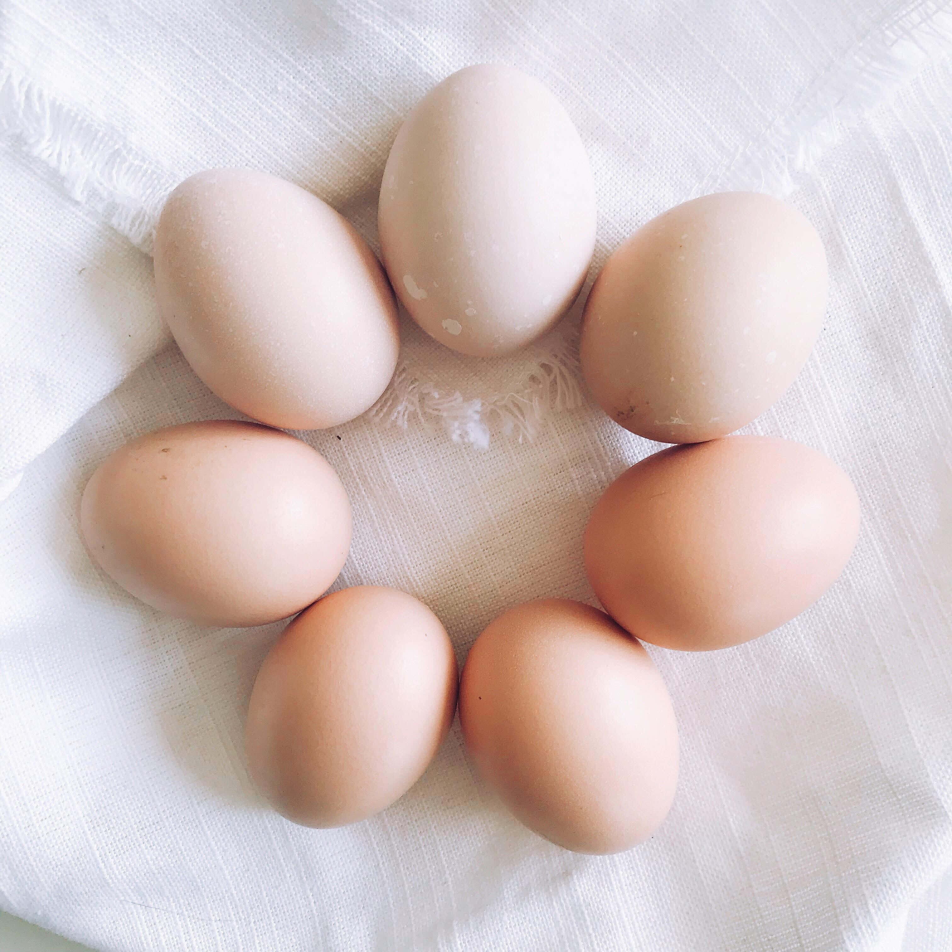 brown eggs, seven brown eggs, textured white cloth, 2K Desktop Wallpaper