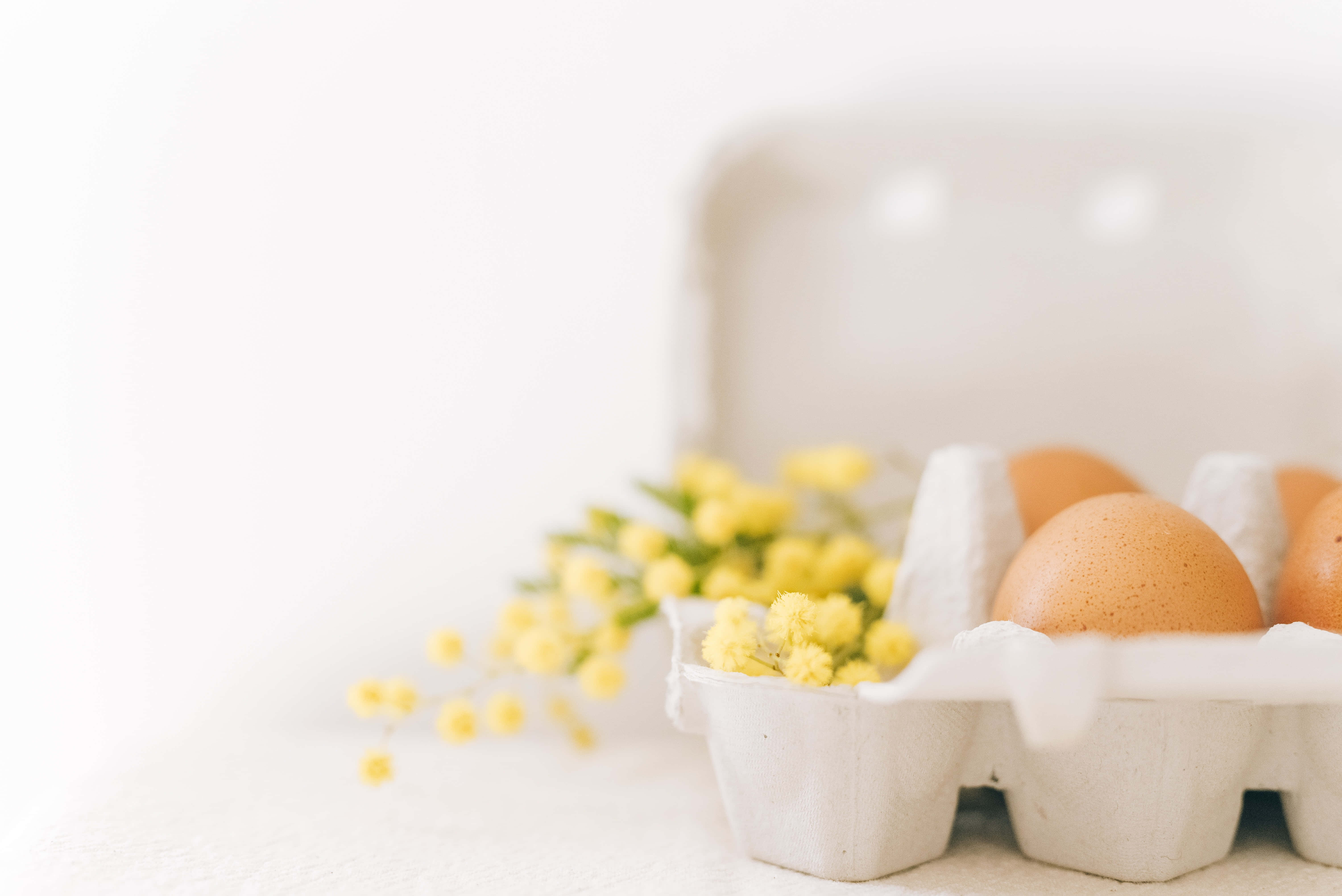 brown eggs, wooden table, yellow mimosa flowers, 5K Desktop Wallpaper
