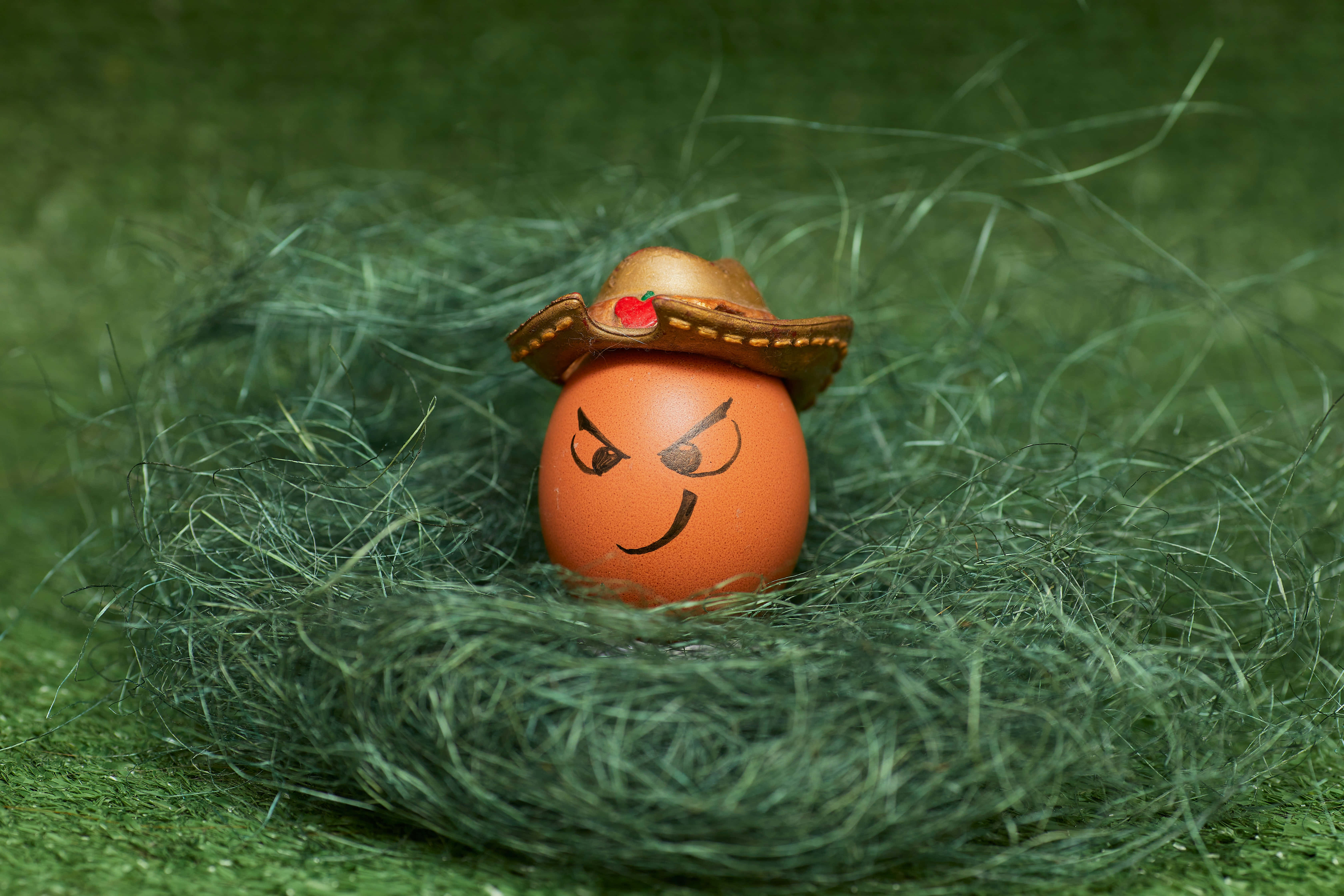 brown eggs, angry face, tiny cowboy hat, 5K Desktop Wallpaper