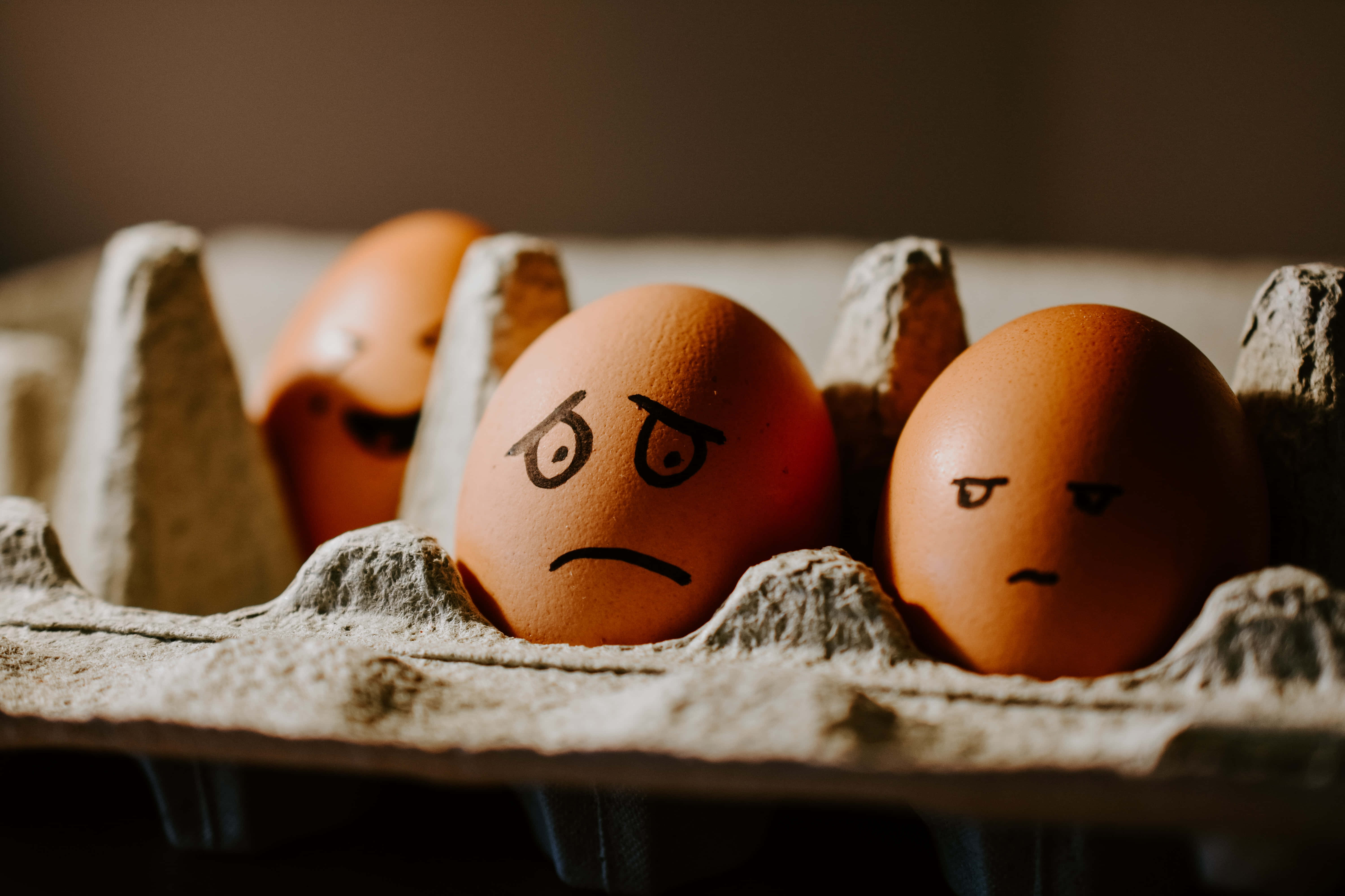brown eggs, cardboard tray, angry faces, 5K Desktop Wallpaper