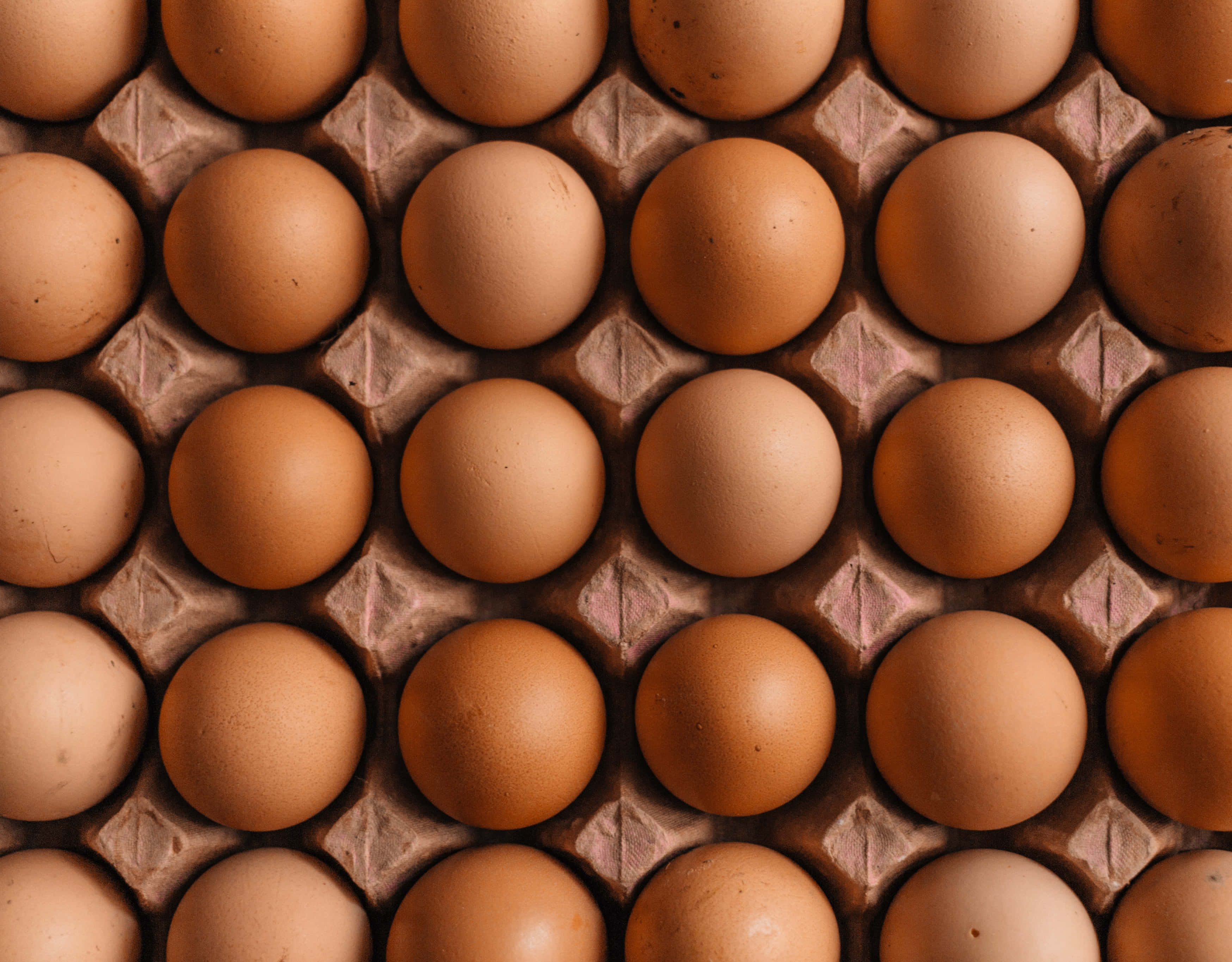 brown eggs, cardboard tray, textured compartments, 2K Desktop Wallpaper