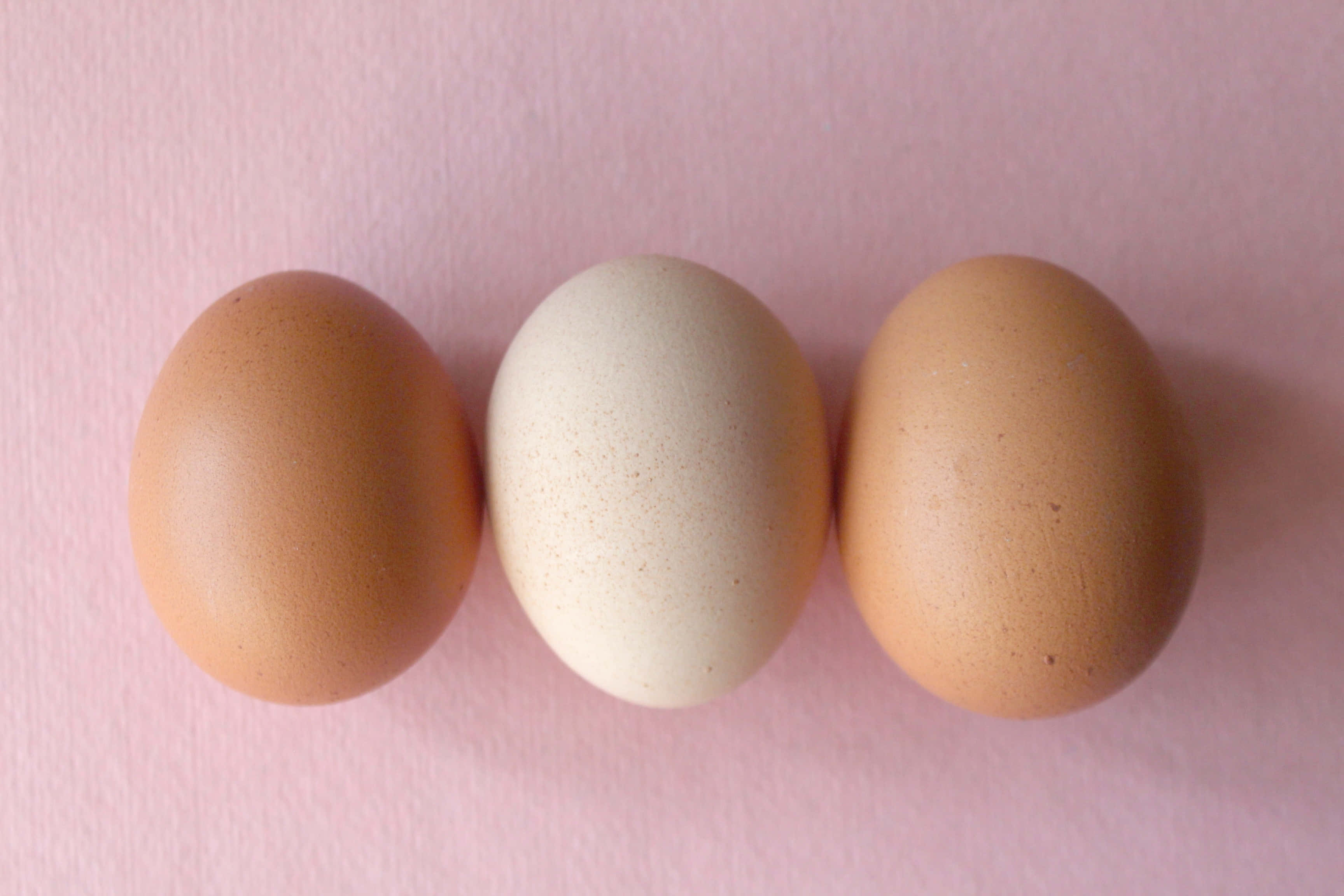 brown eggs, rustic kitchen, soft pink textured surface, 2K Desktop Wallpaper
