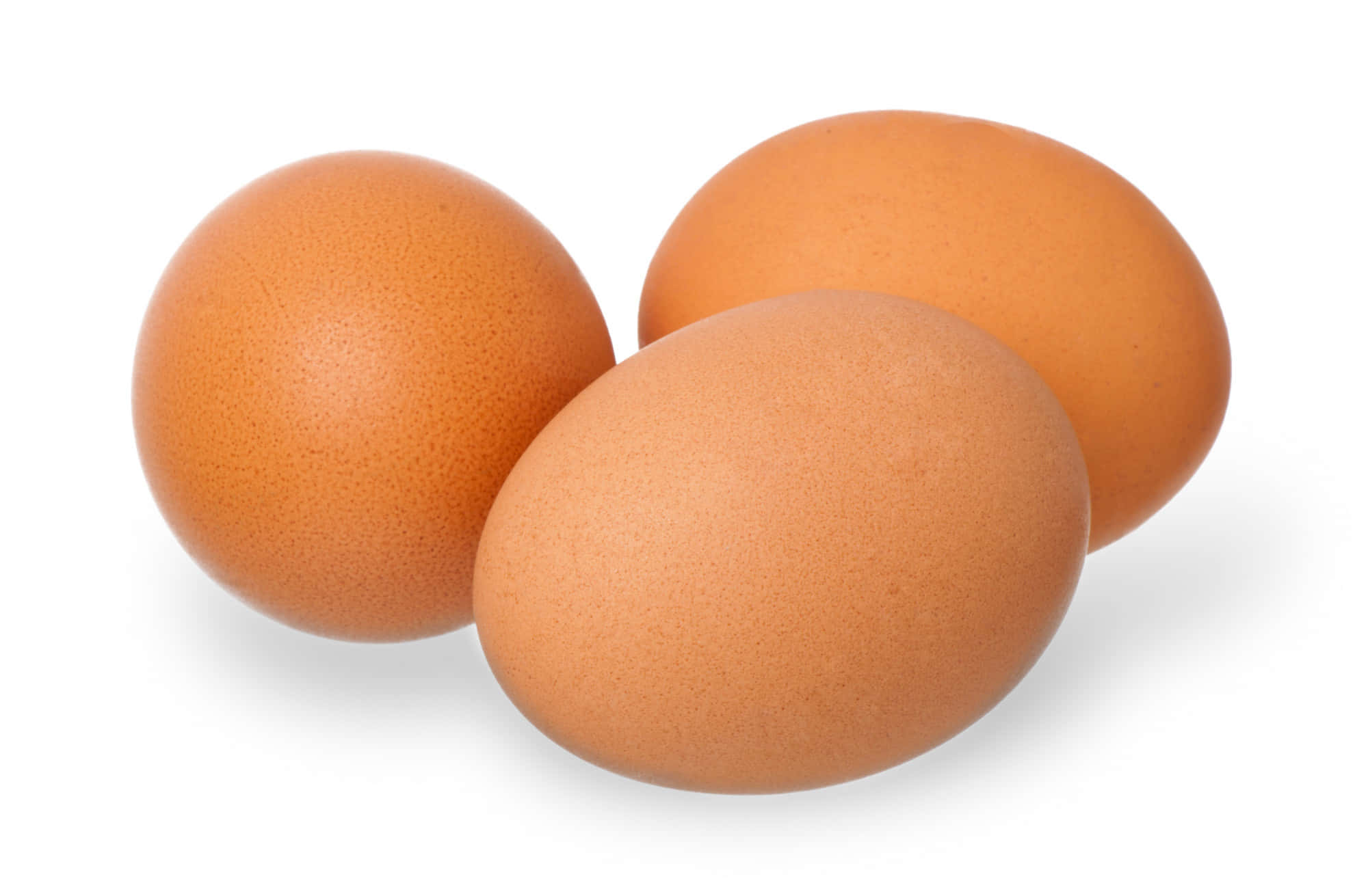 three oval brown eggs, clean white background, soft shadows, Full HD Desktop Wallpaper