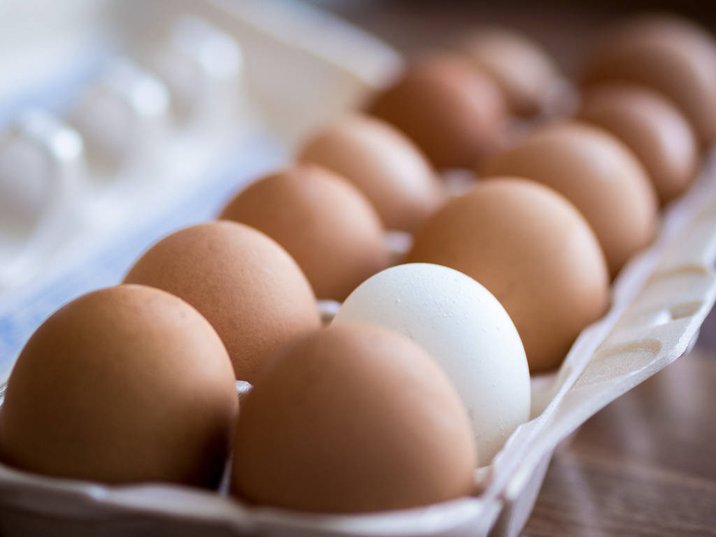 brown eggs, white egg, cardboard tray, SD Desktop Wallpaper