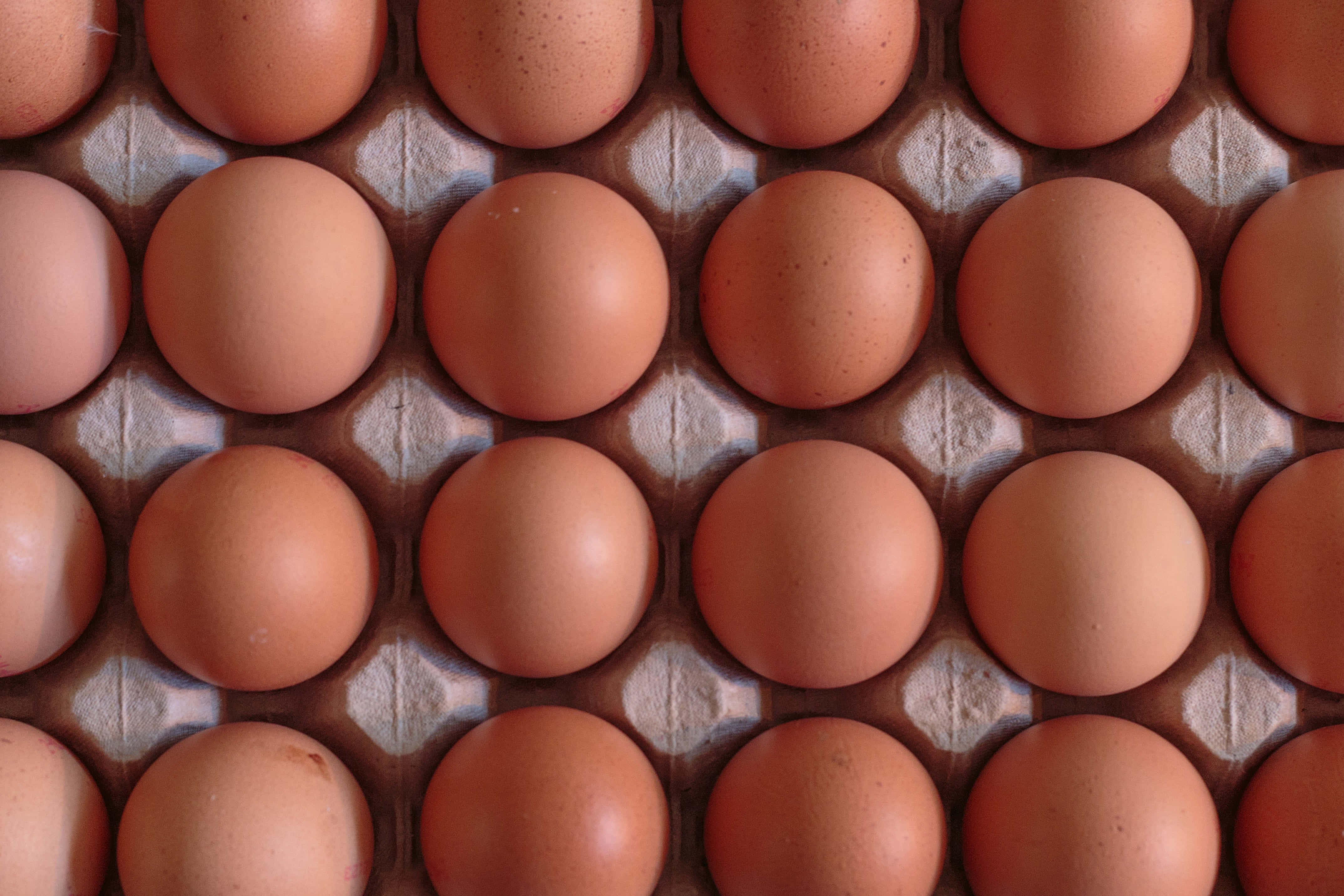 brown eggs, cardboard carton, natural speckles, 4K Desktop Wallpaper