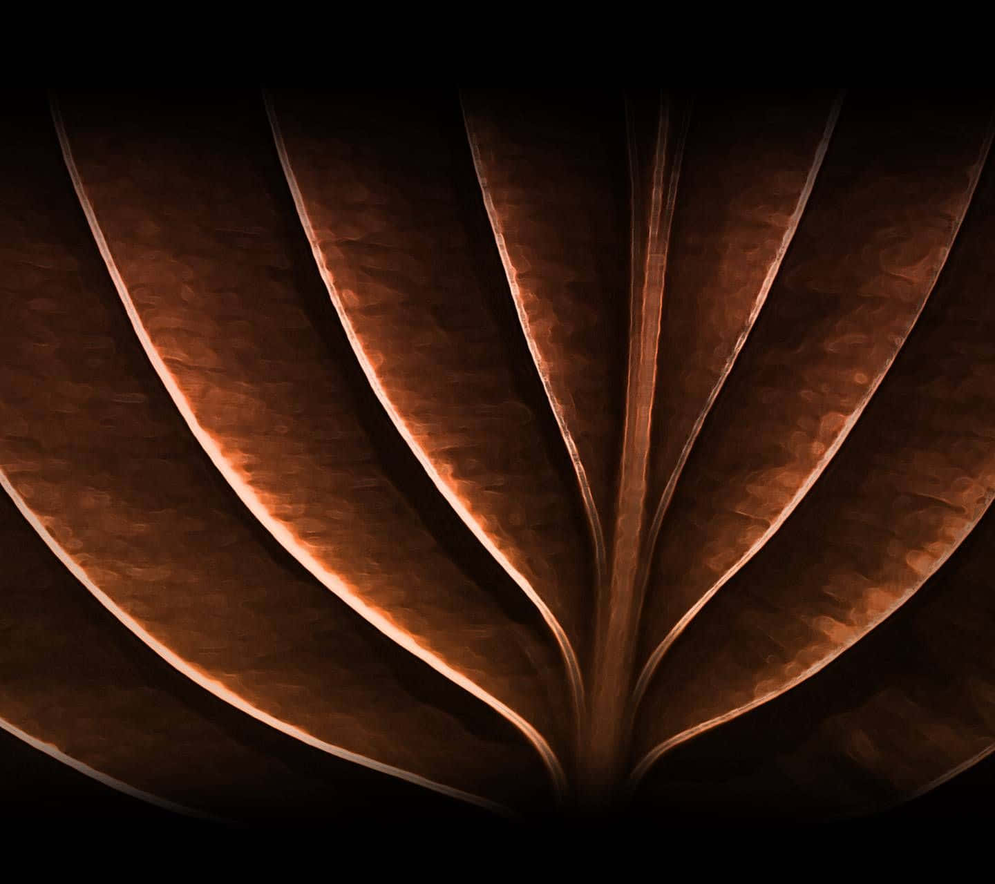 hammered copper leaf, warm glowing edges, dark background, HD Desktop Wallpaper