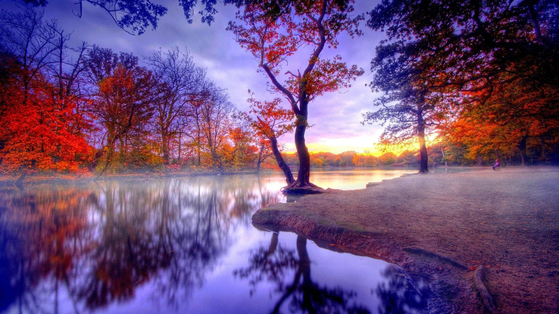 sunset, misty lake, fiery red leaves, Full HD Desktop Wallpaper