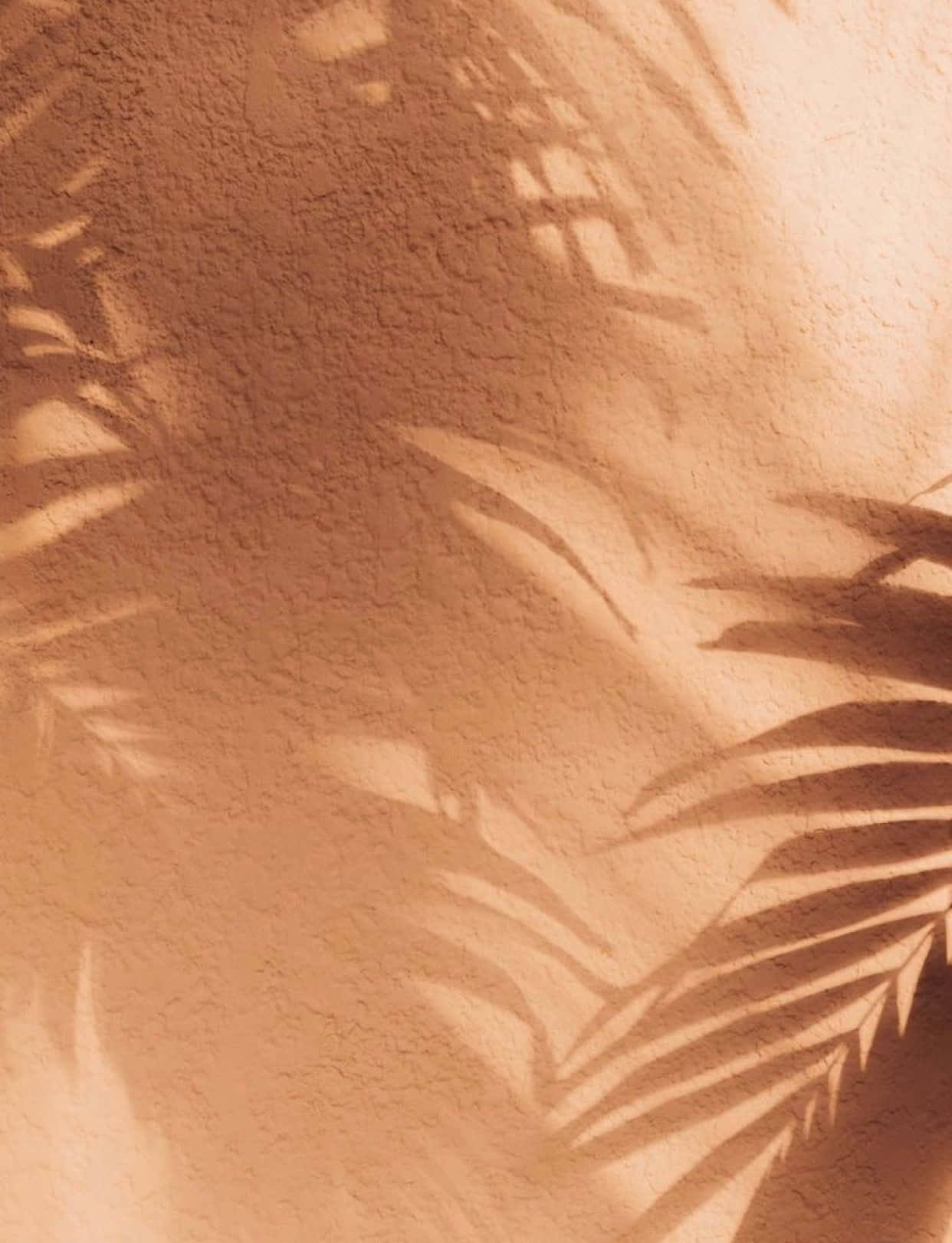 brown pastel aesthetic, palm fronds, textured stucco wall, HD Phone Wallpaper