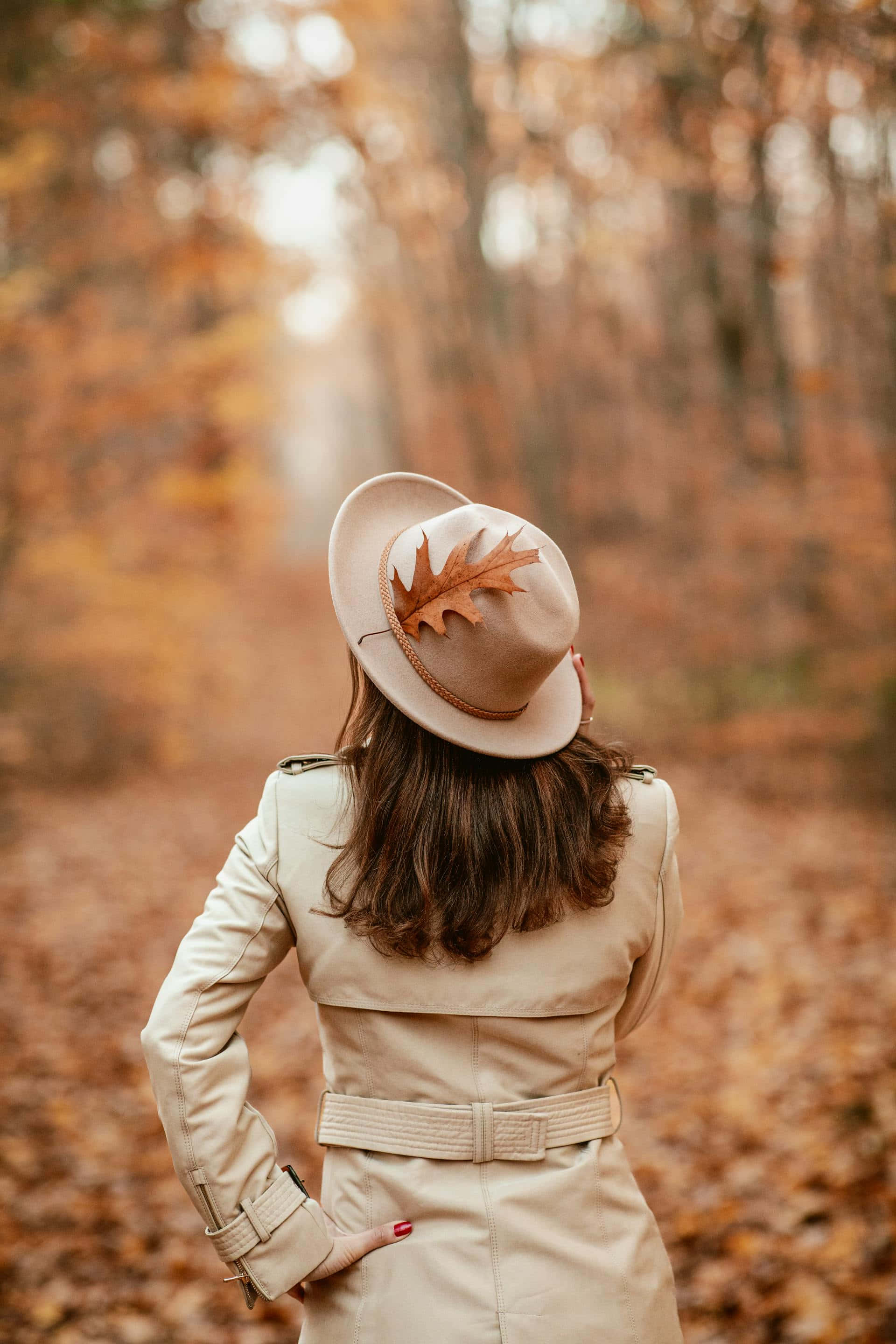 beige trench coat, maple leaf hat, sunlit autumn forest, 2K Phone Wallpaper
