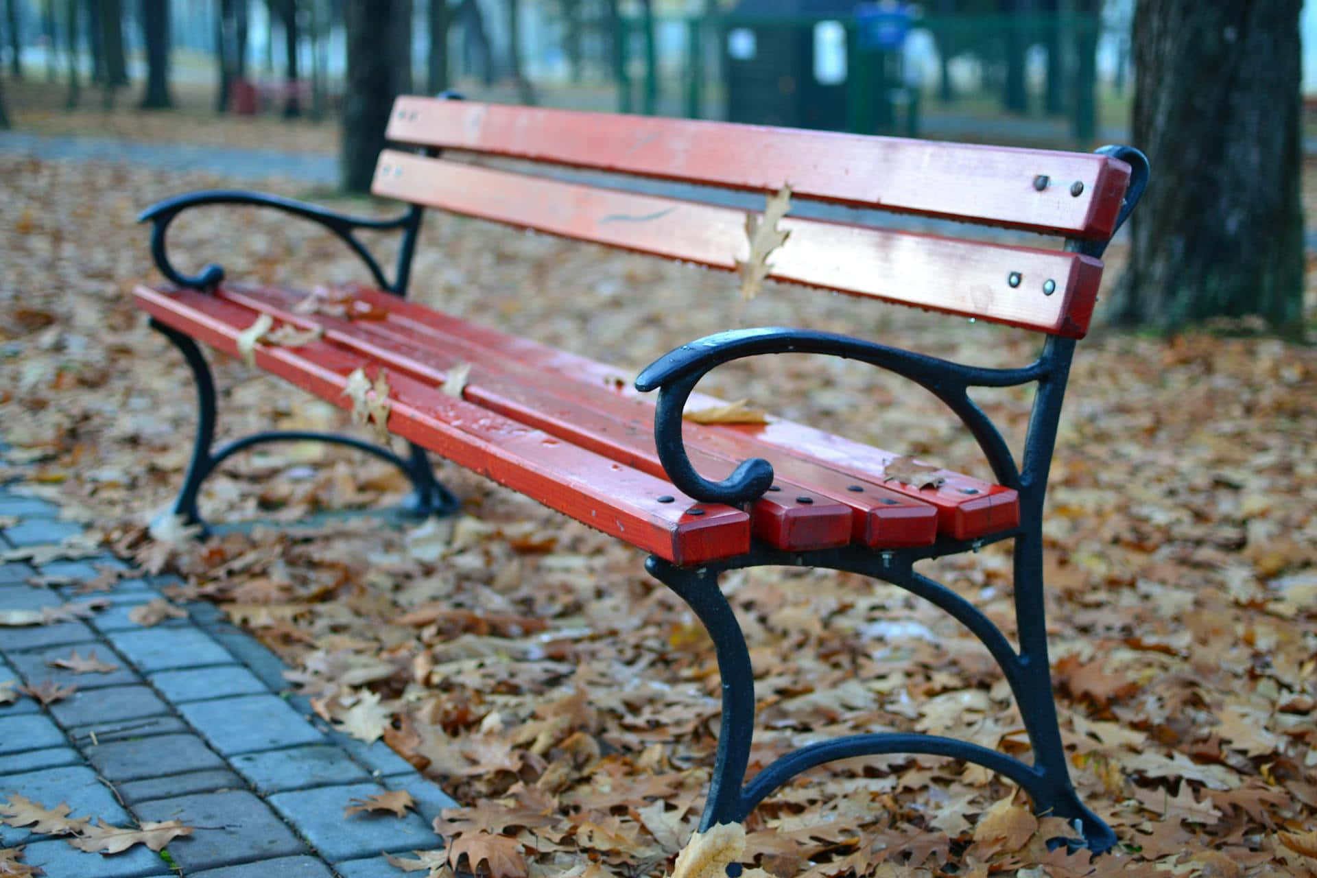 red wooden bench, black metal arms, park, Full HD Desktop Wallpaper