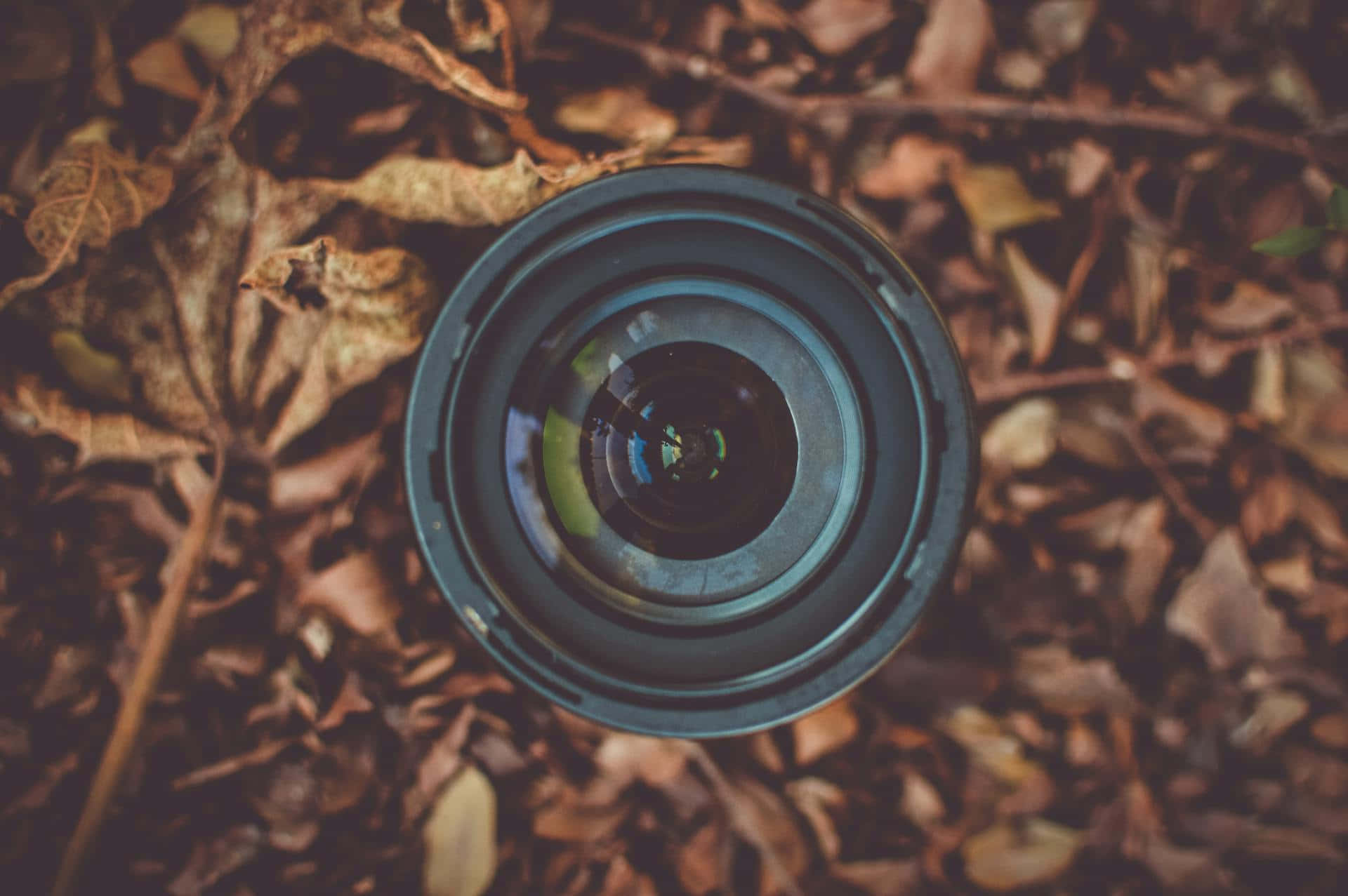 camera lens, fall leaves, forest floor, Full HD Desktop Wallpaper