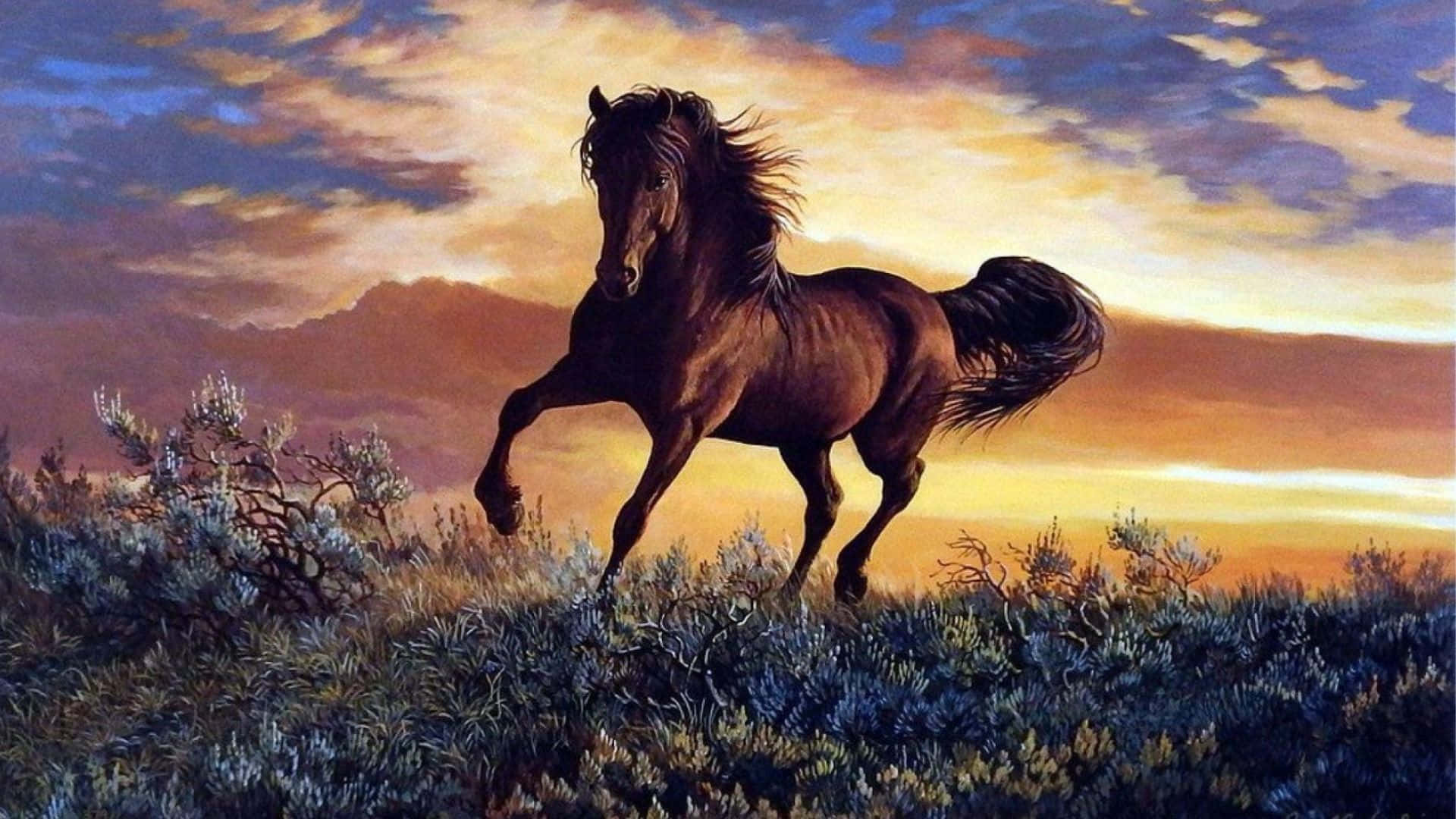 Brown Horse, dark brown, grassy plain, Full HD Desktop Wallpaper