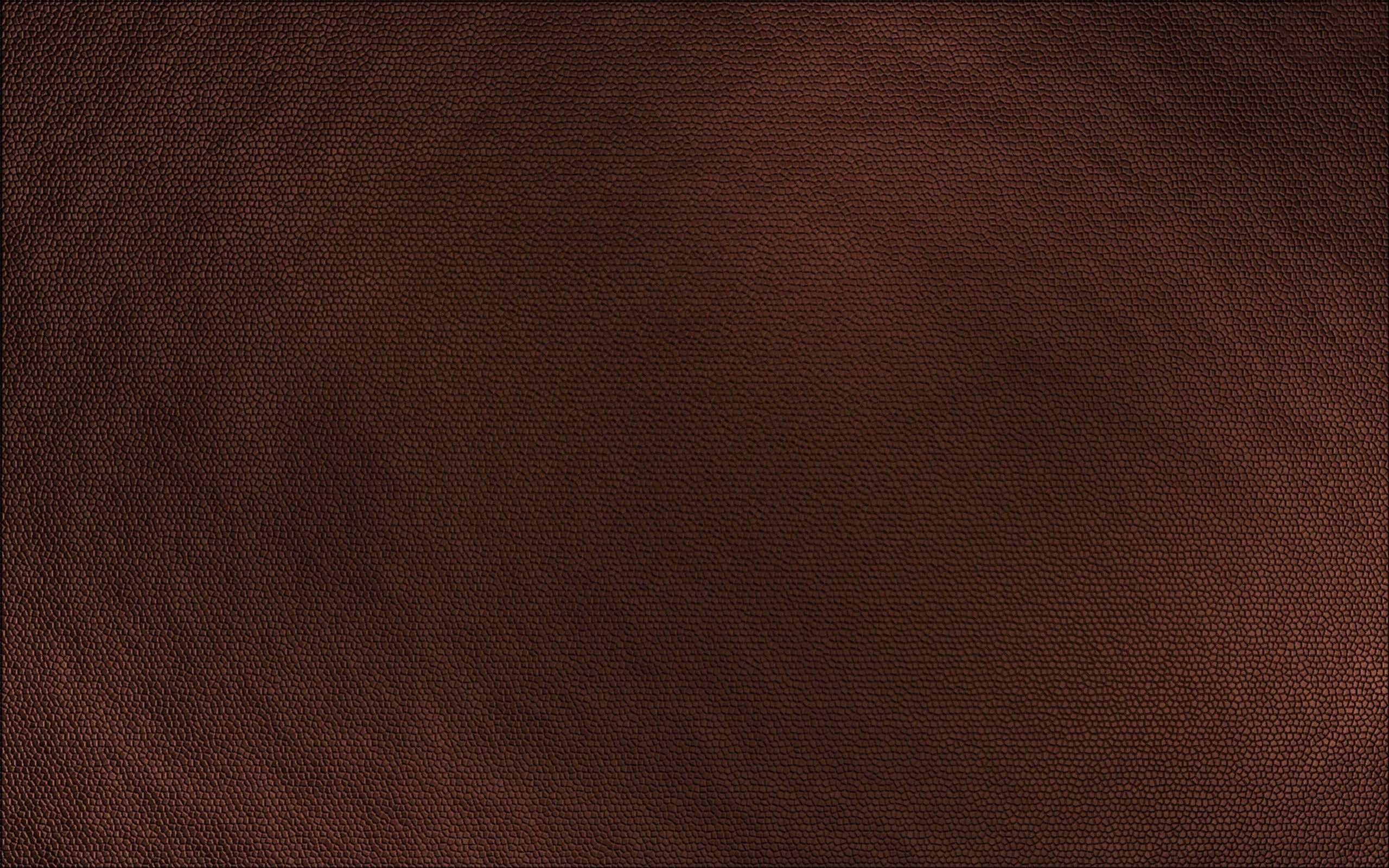brown leather, grain, soft gradient lighting, 2K Desktop Wallpaper