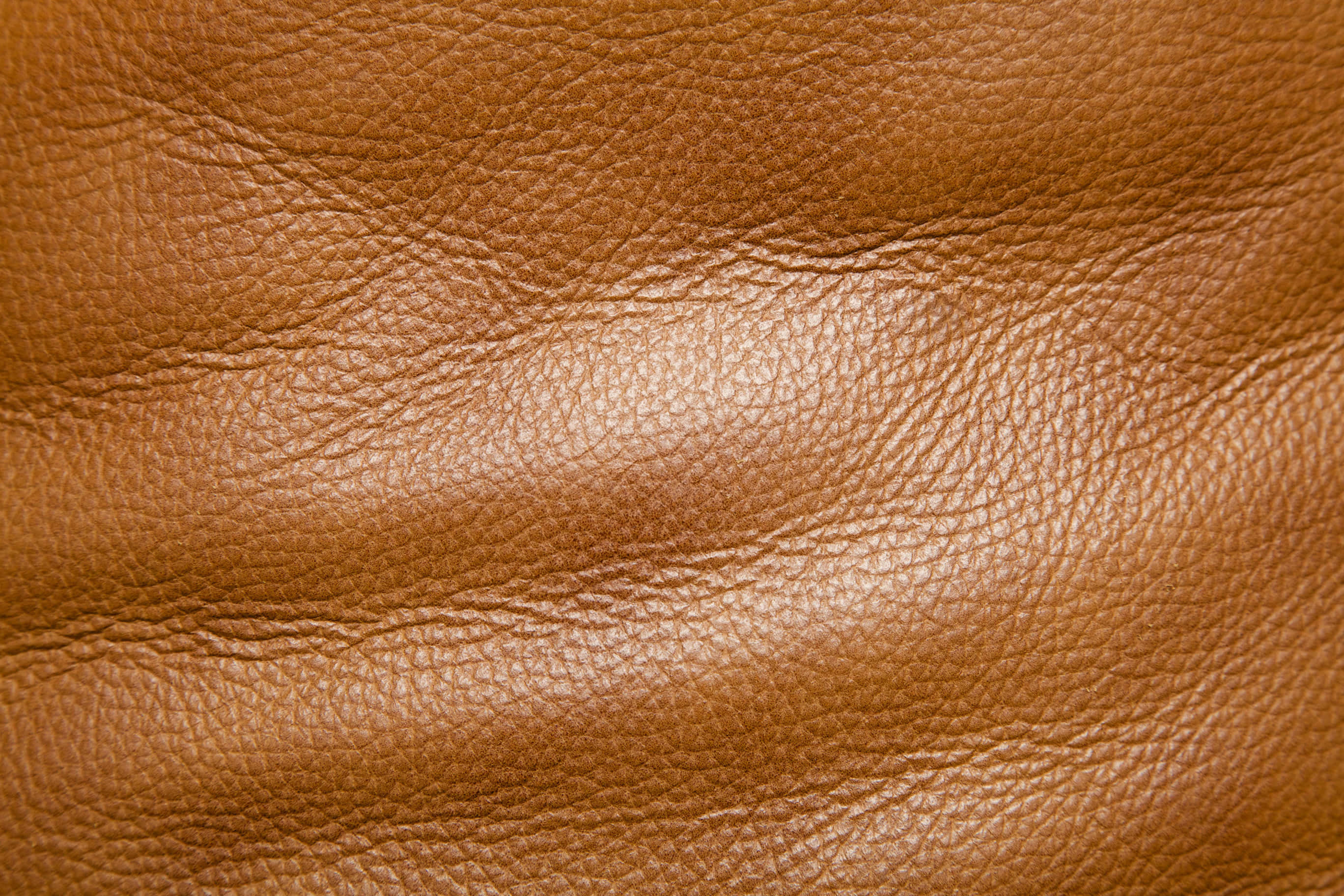 brown leather, natural grain, subtle creases, 2K Desktop Wallpaper