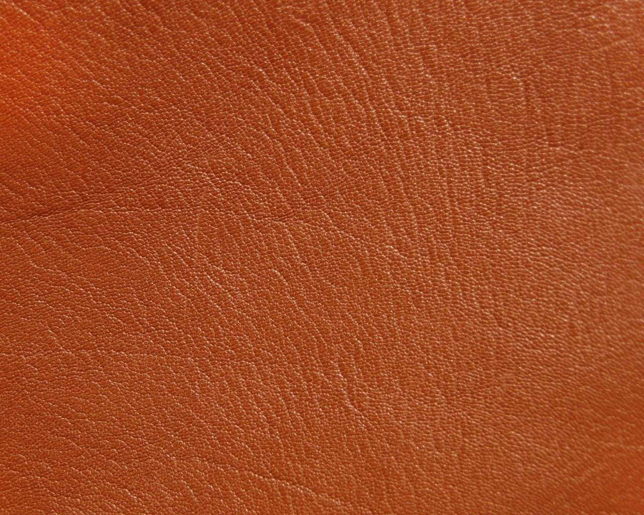 brown leather, natural grain texture, subtle lighting highlights, HD Desktop Wallpaper