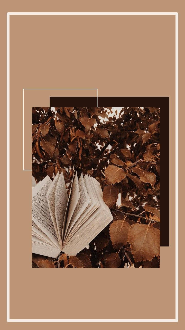 brown leaves, book, autumn leaves, HD Phone Wallpaper