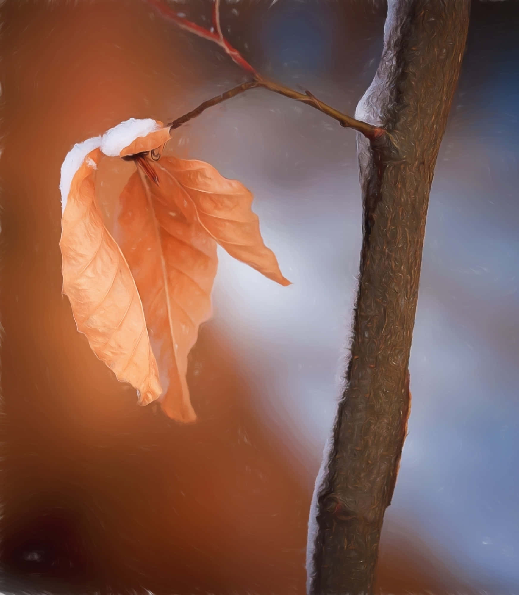 brown leaves, orange leaf, snow, Full HD Phone Wallpaper