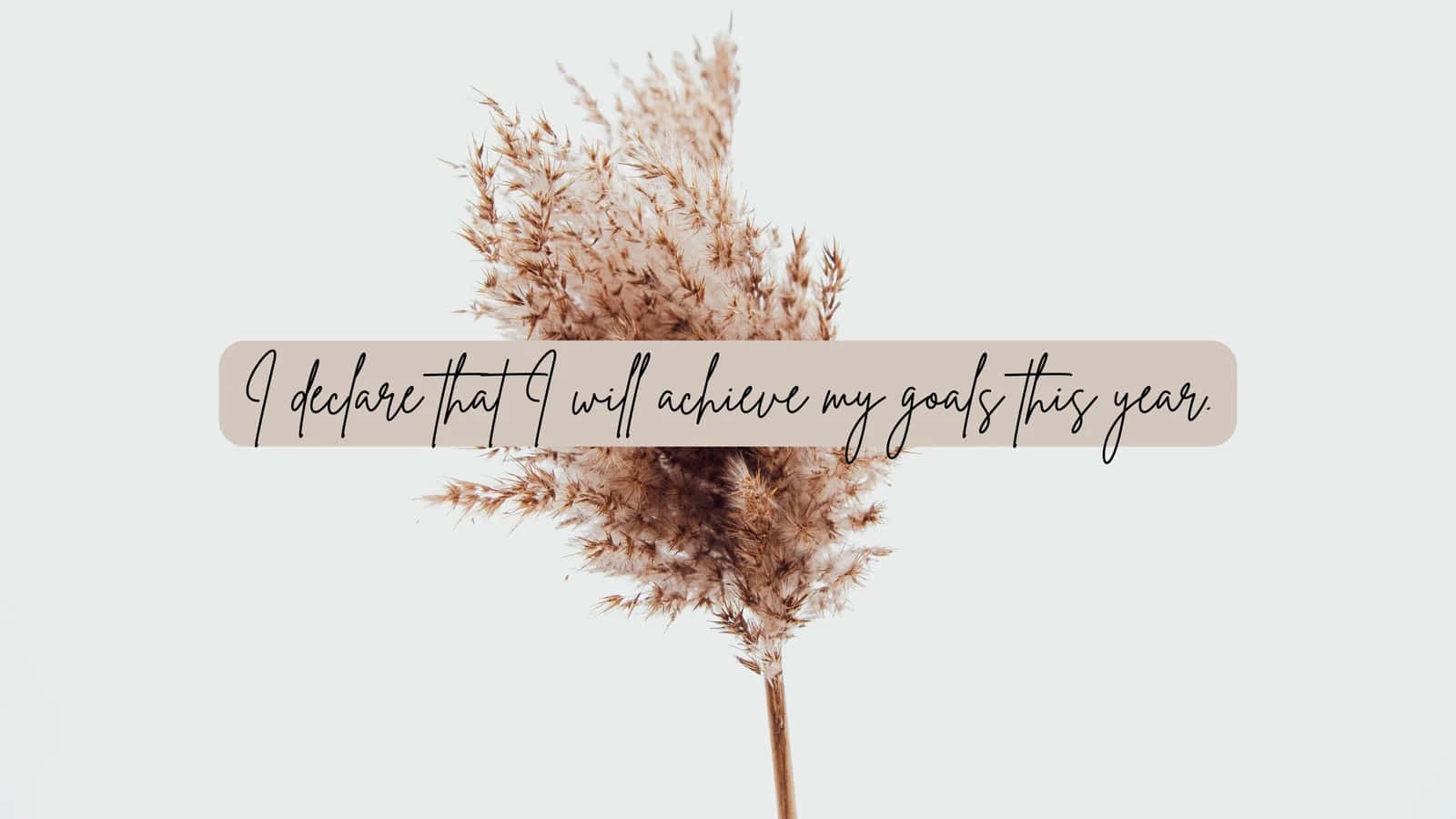 brown minimalist, dried pampas grass, motivational quote, HD Desktop Wallpaper