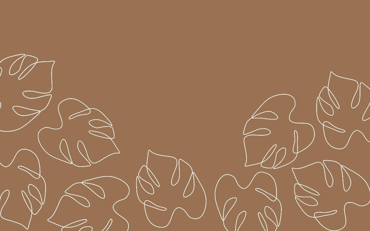 Monstera leaves, white, solid brown background, HD Desktop Wallpaper