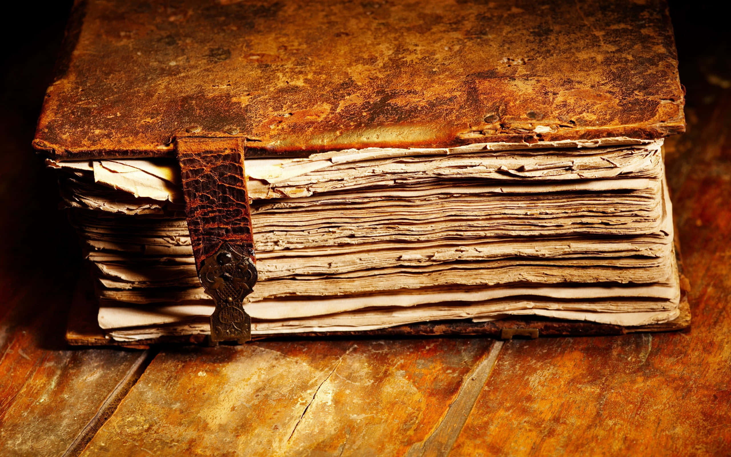 brown paper, leather-bound book, crocodile-skin strap, 2K Desktop Wallpaper