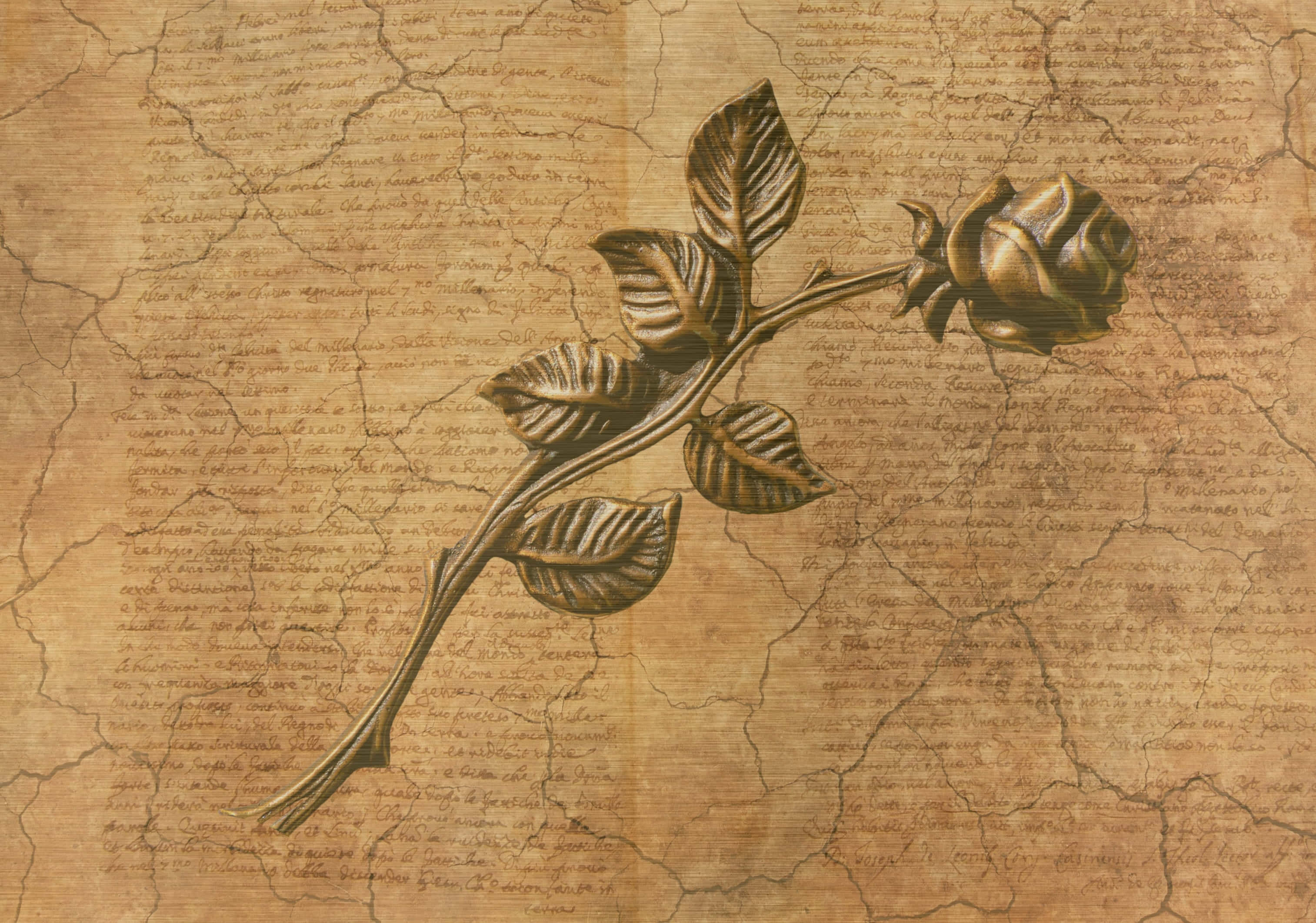 bronze rose, cracked parchment, faded cursive script, 2K Desktop Wallpaper