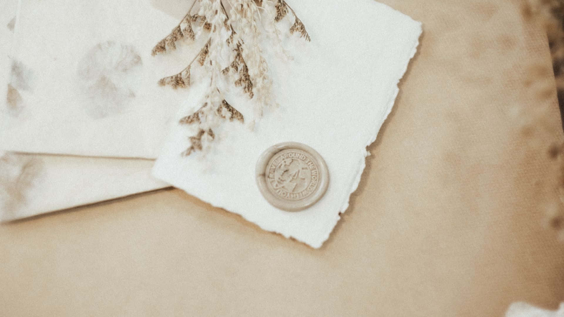 pastel brown aesthetic, vintage parchment, dried ferns, Full HD Desktop Wallpaper