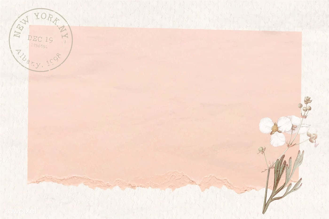 brown pastel aesthetic, soft peach torn paper frame, delicate white flowers, HD Desktop Wallpaper