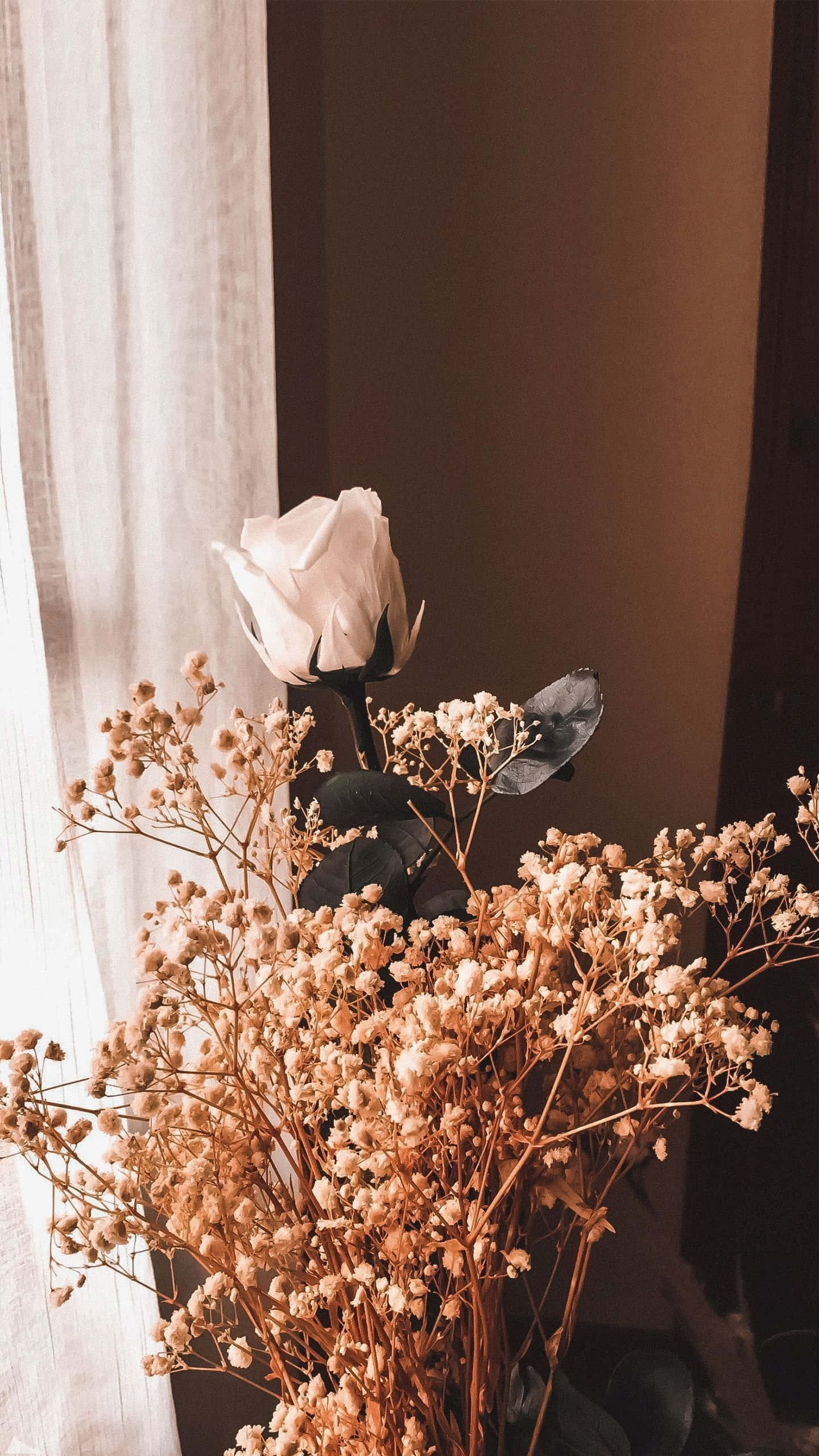 dried flowers, white rose, baby's breath, 2K Phone Wallpaper