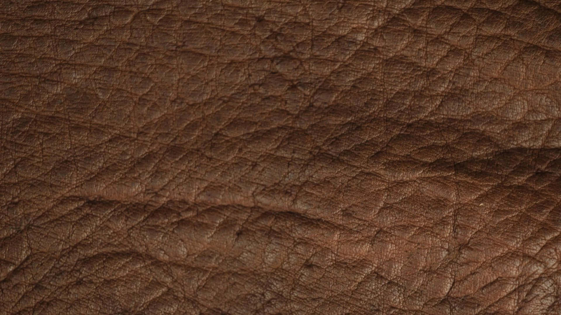 brown leather, rich brown, natural grain, Full HD Desktop Wallpaper