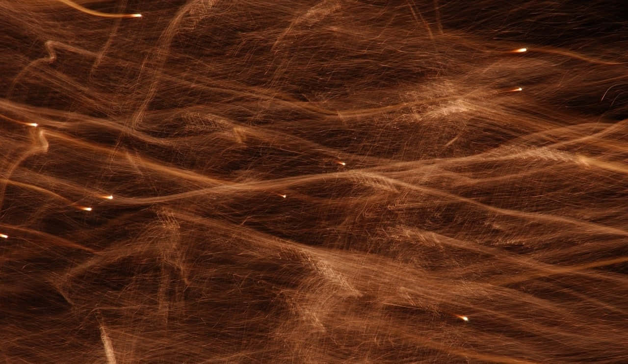 brown texture, golden streaks, dark background, HD Desktop Wallpaper