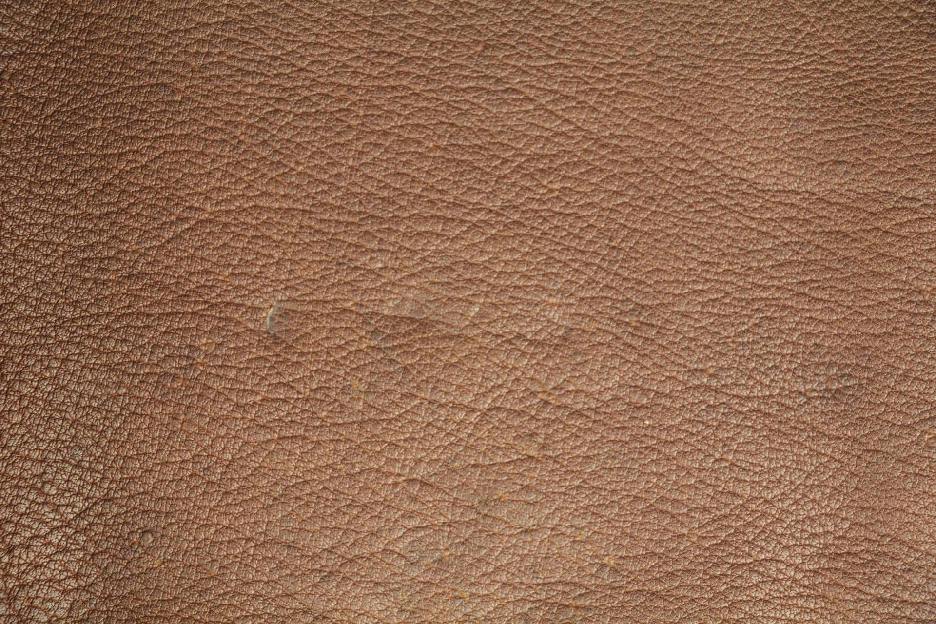 light brown leather, natural grain texture, subtle creases, Full HD Desktop Wallpaper