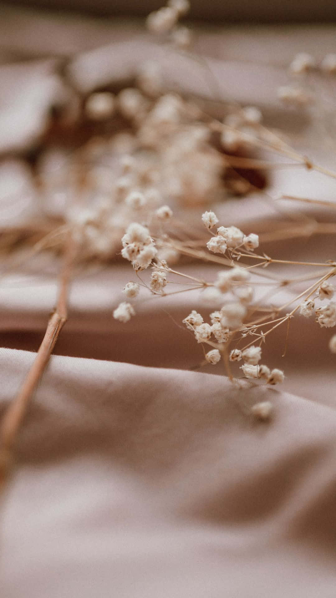 soft brown aesthetic, dried baby's breath flowers, beige fabric, Full HD Phone Wallpaper