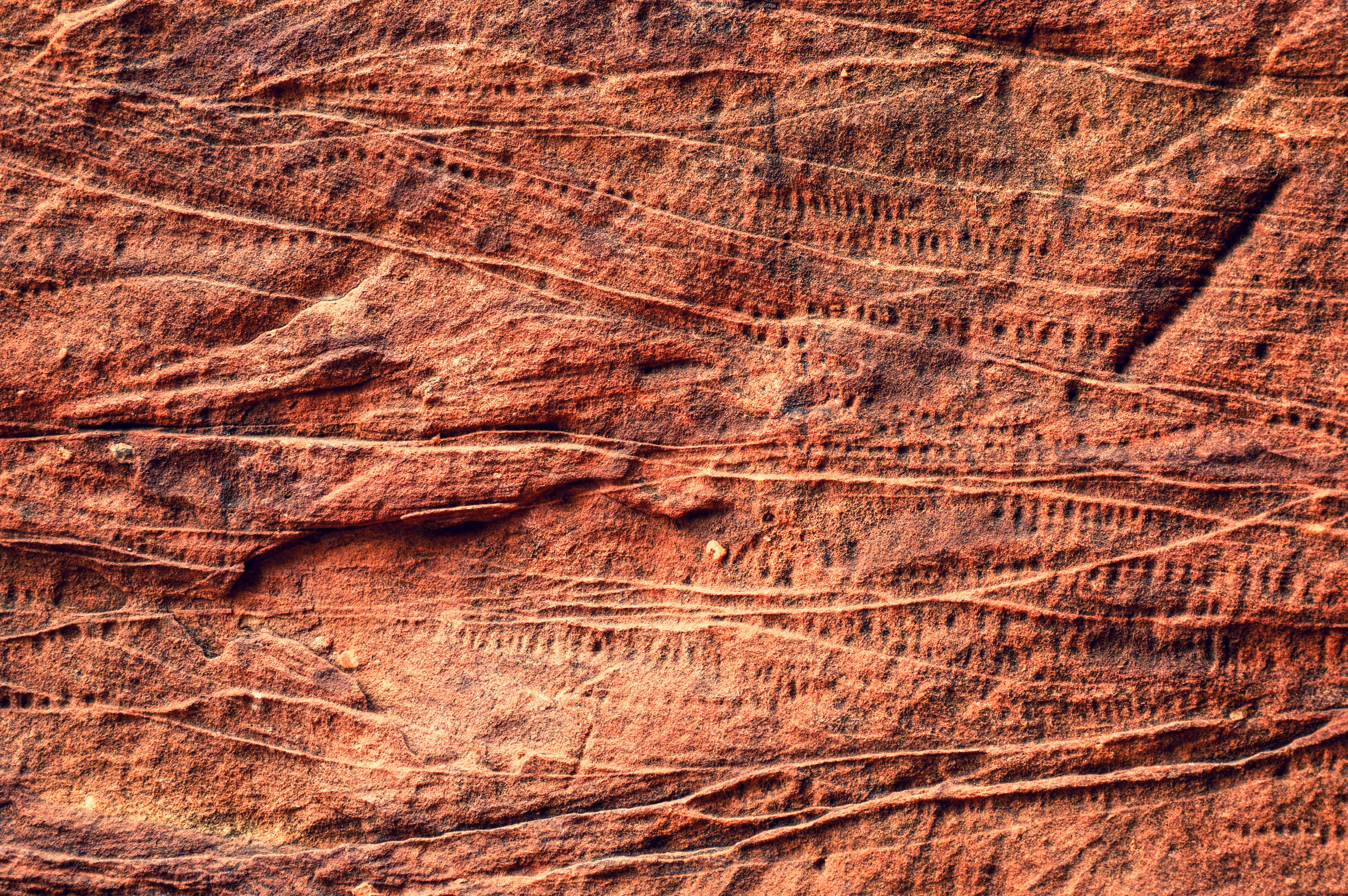textured red desert rock, ancient petroglyphs, warm sunlight, 5K Desktop Wallpaper