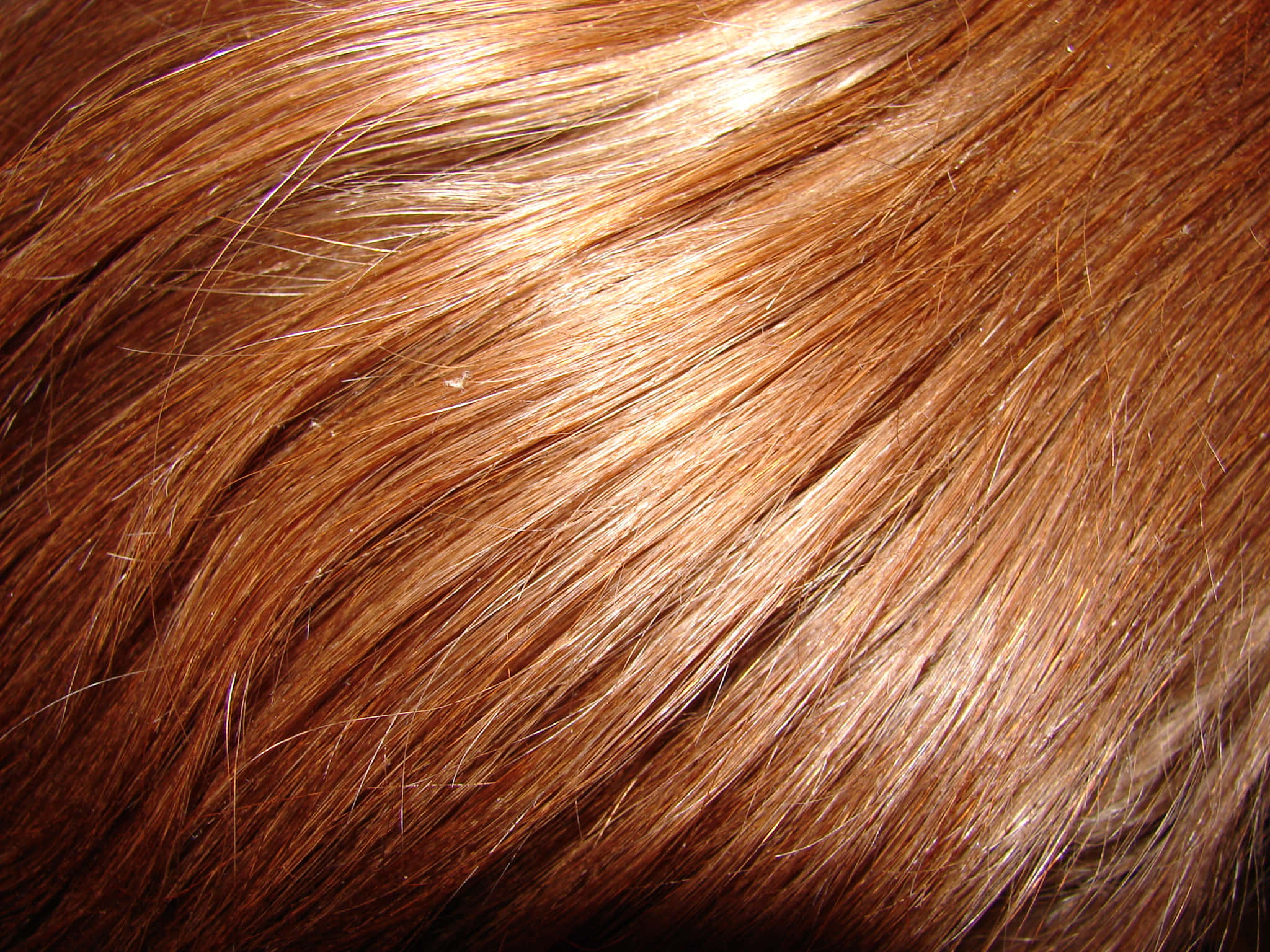 chestnut brown, smooth, soft highlights, Full HD Desktop Wallpaper