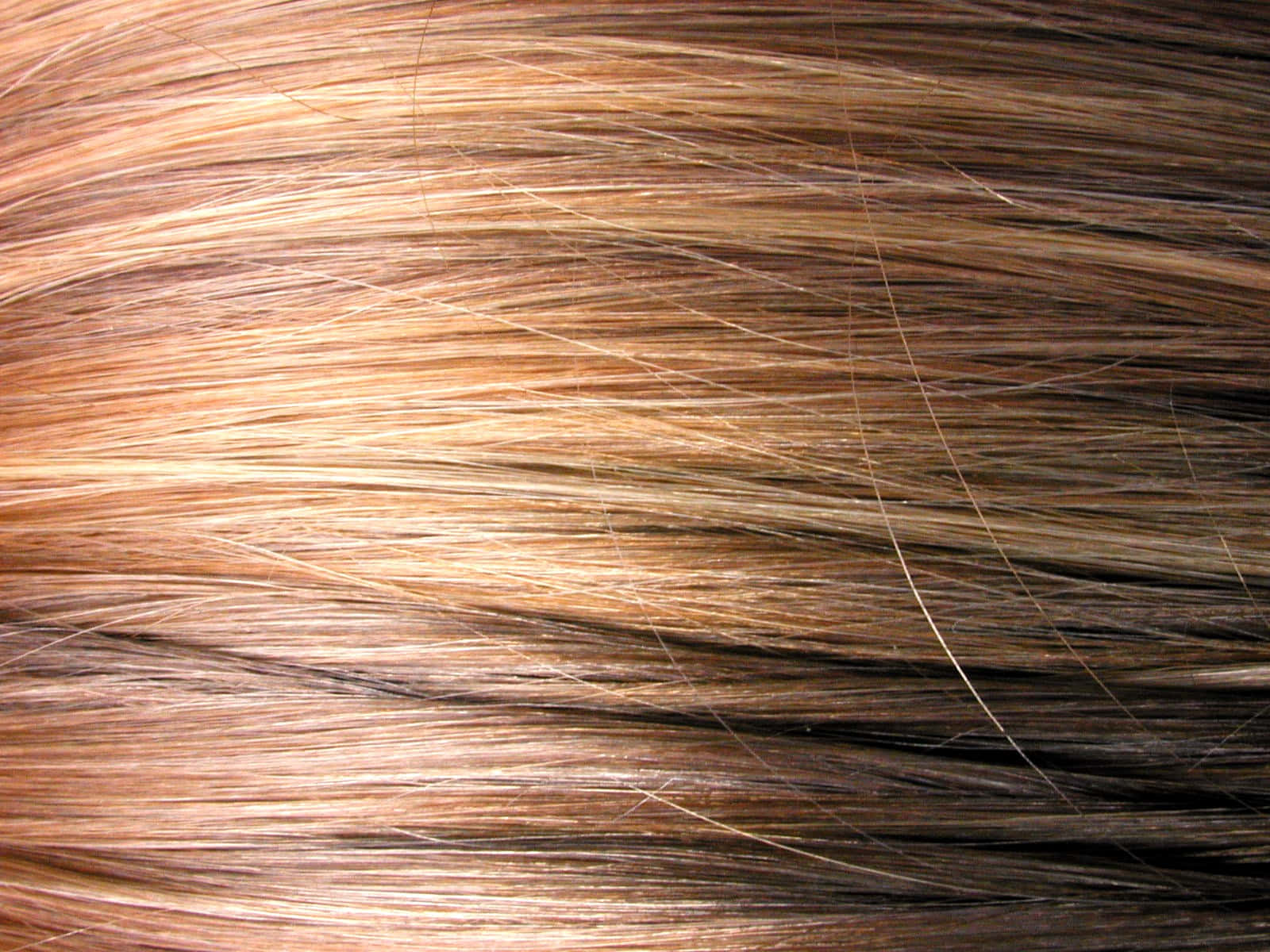 sunlit brown hair, golden highlights, natural texture, HD Desktop Wallpaper