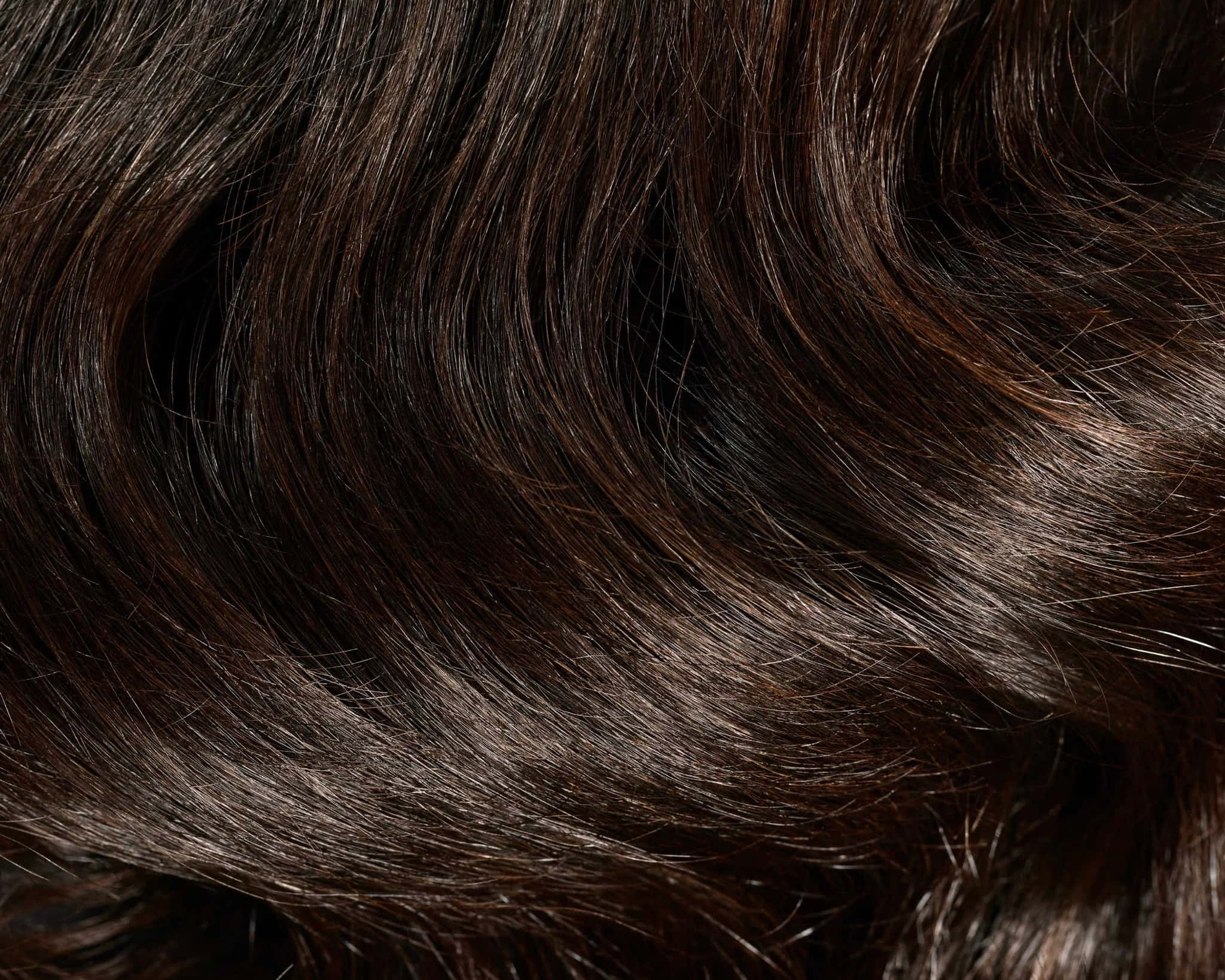 dark wavy hair, rich dark brown, soft highlights, Full HD Desktop Wallpaper