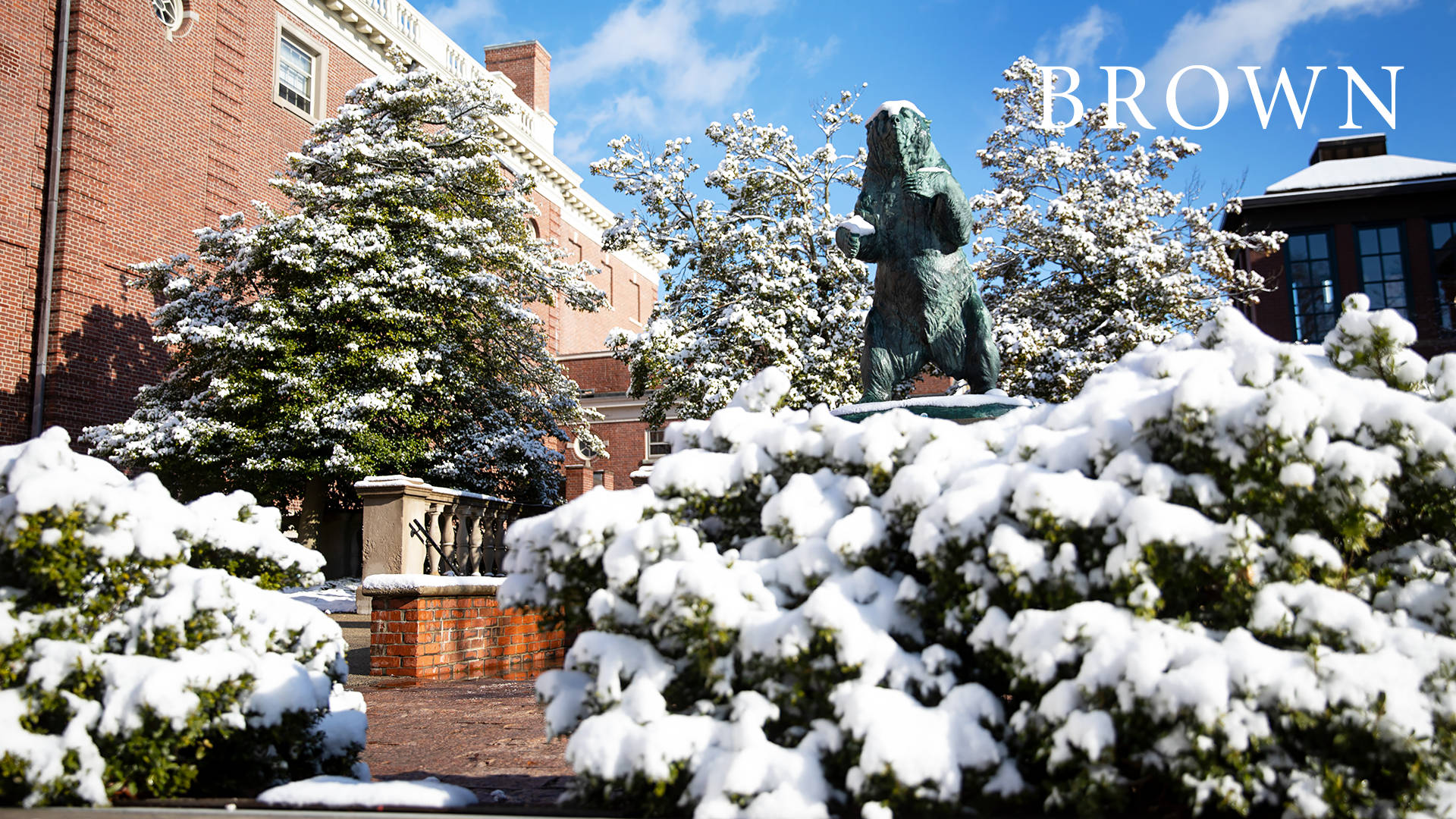 Brown University, bear statue, bronze, Full HD Desktop Wallpaper