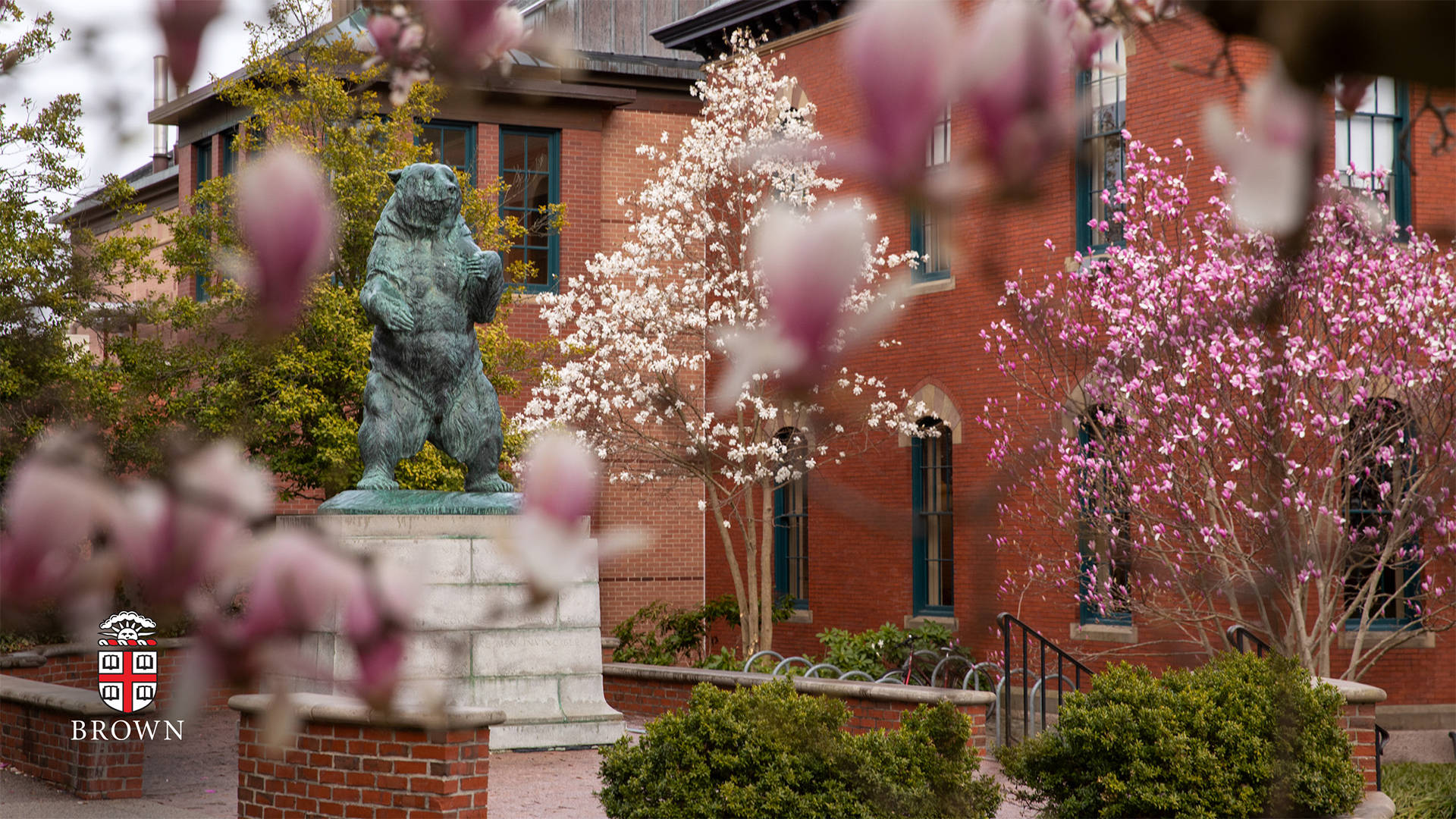 Brown University, bronze bear statue, red brick university building, Full HD Desktop Wallpaper