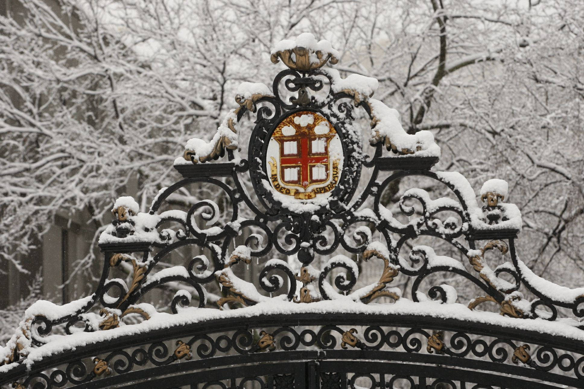 Brown University, wrought iron gate, fresh snow, Full HD Desktop Wallpaper