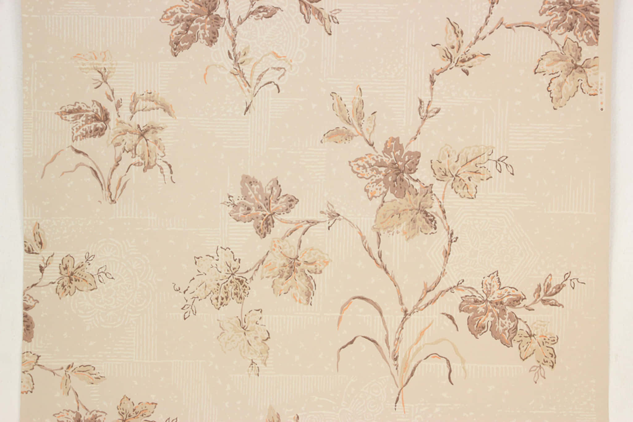 Brown Vintage, beige textured background, botanical vines, Full HD Desktop Wallpaper