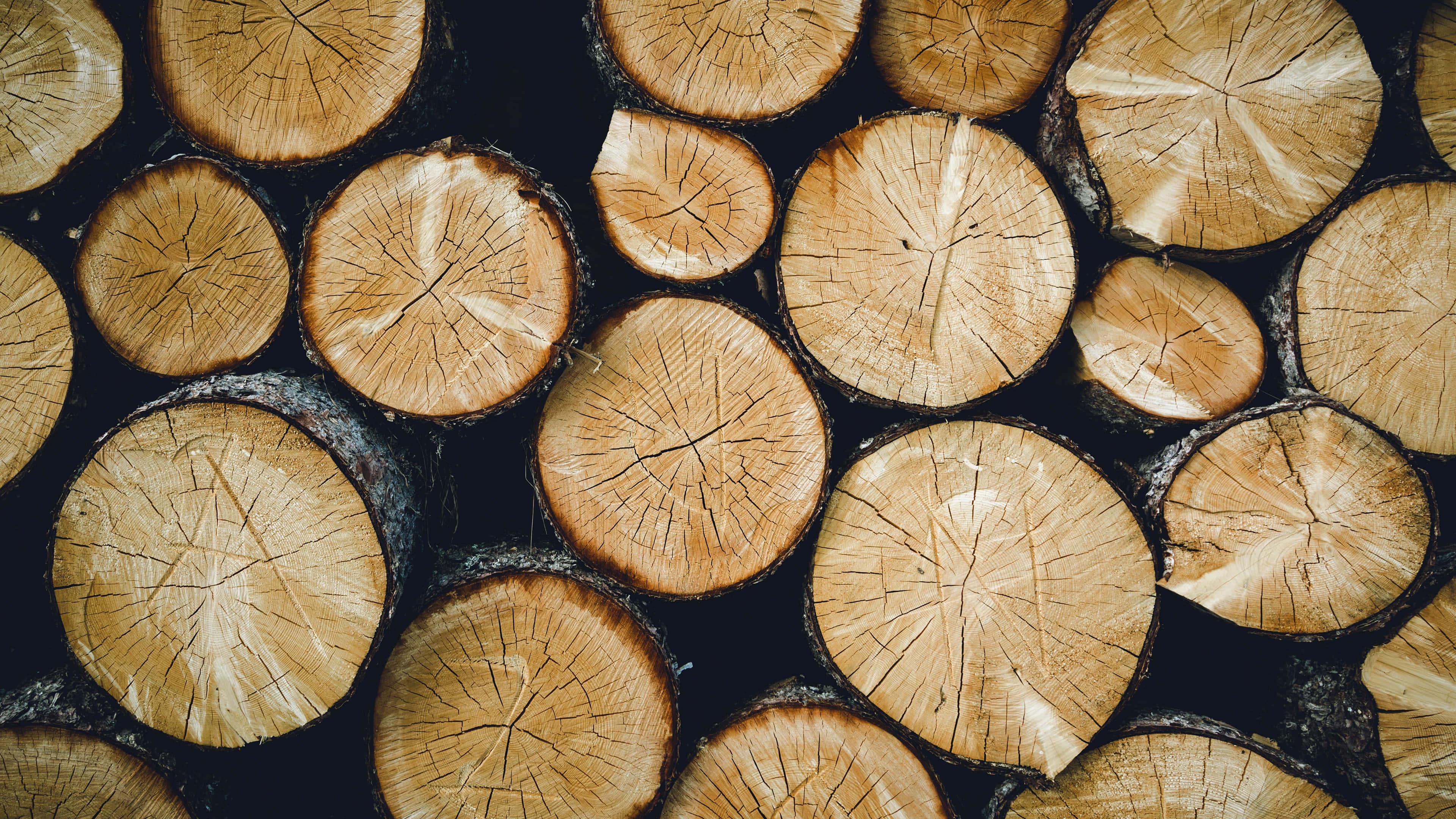 natural wood pile, tree trunk, cut logs, 4K Desktop Wallpaper